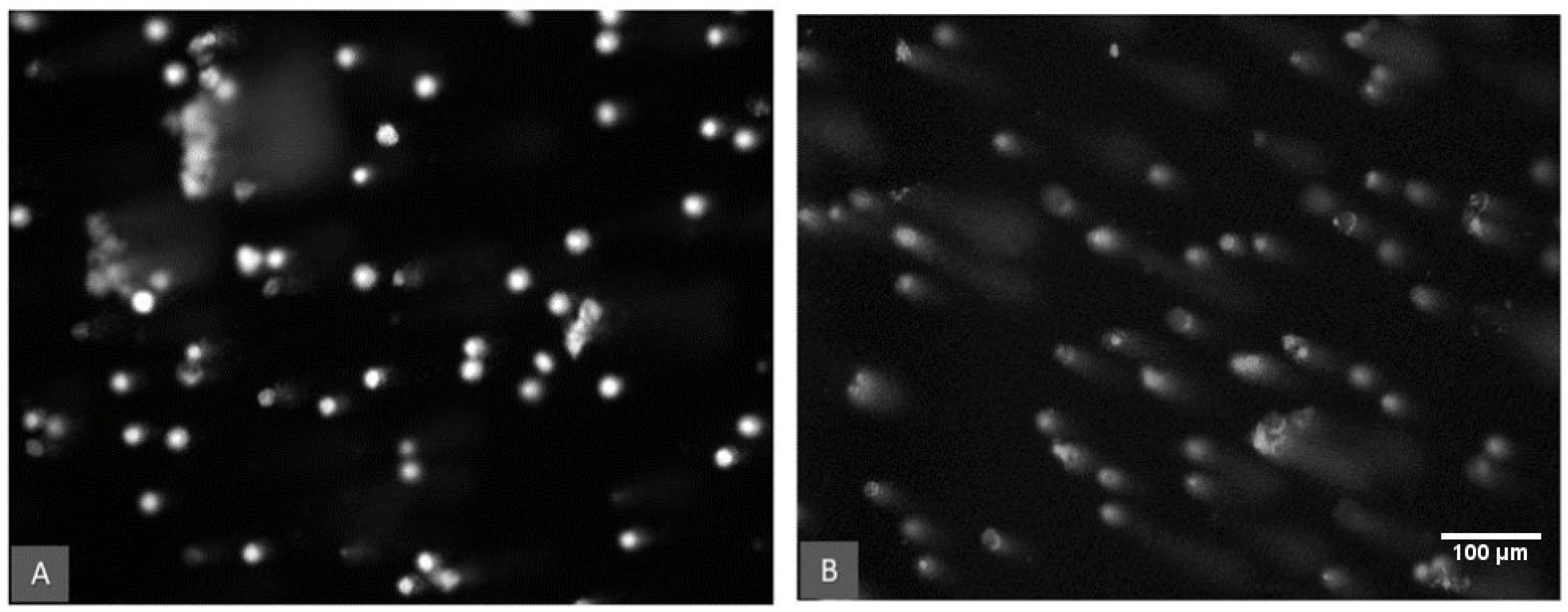 Toxins 14 00075 g003