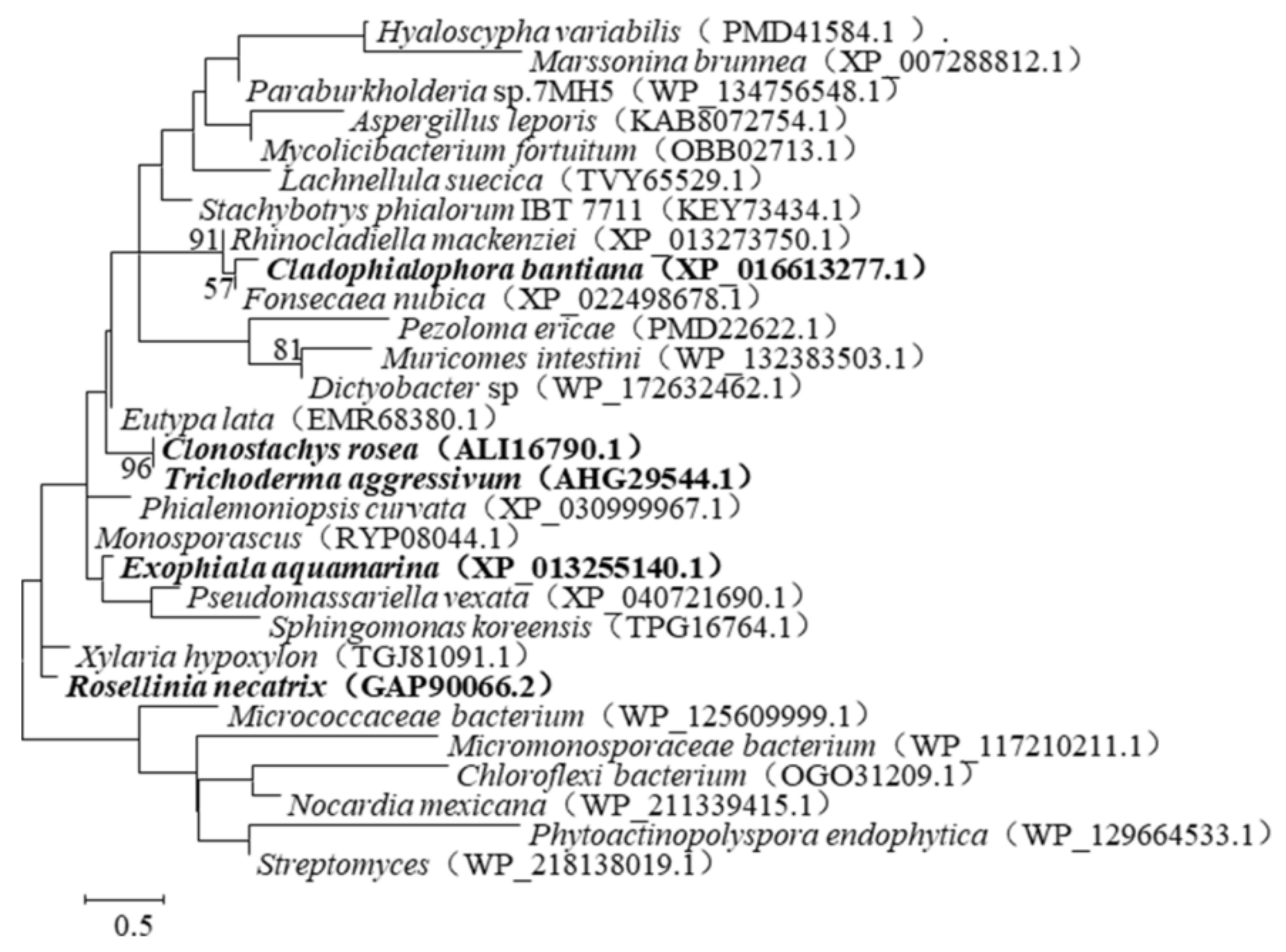 Toxins 14 00082 g001
