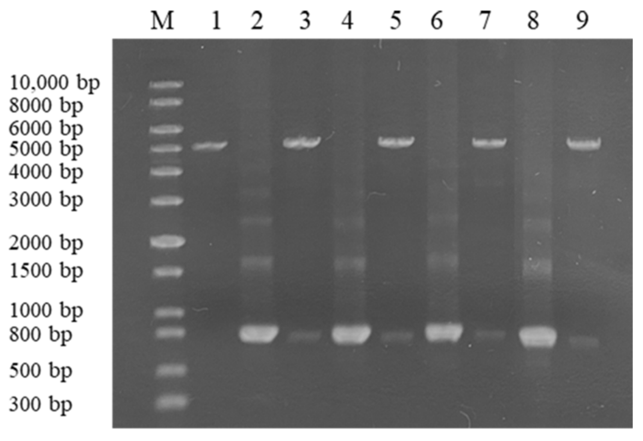 Toxins 14 00082 g003
