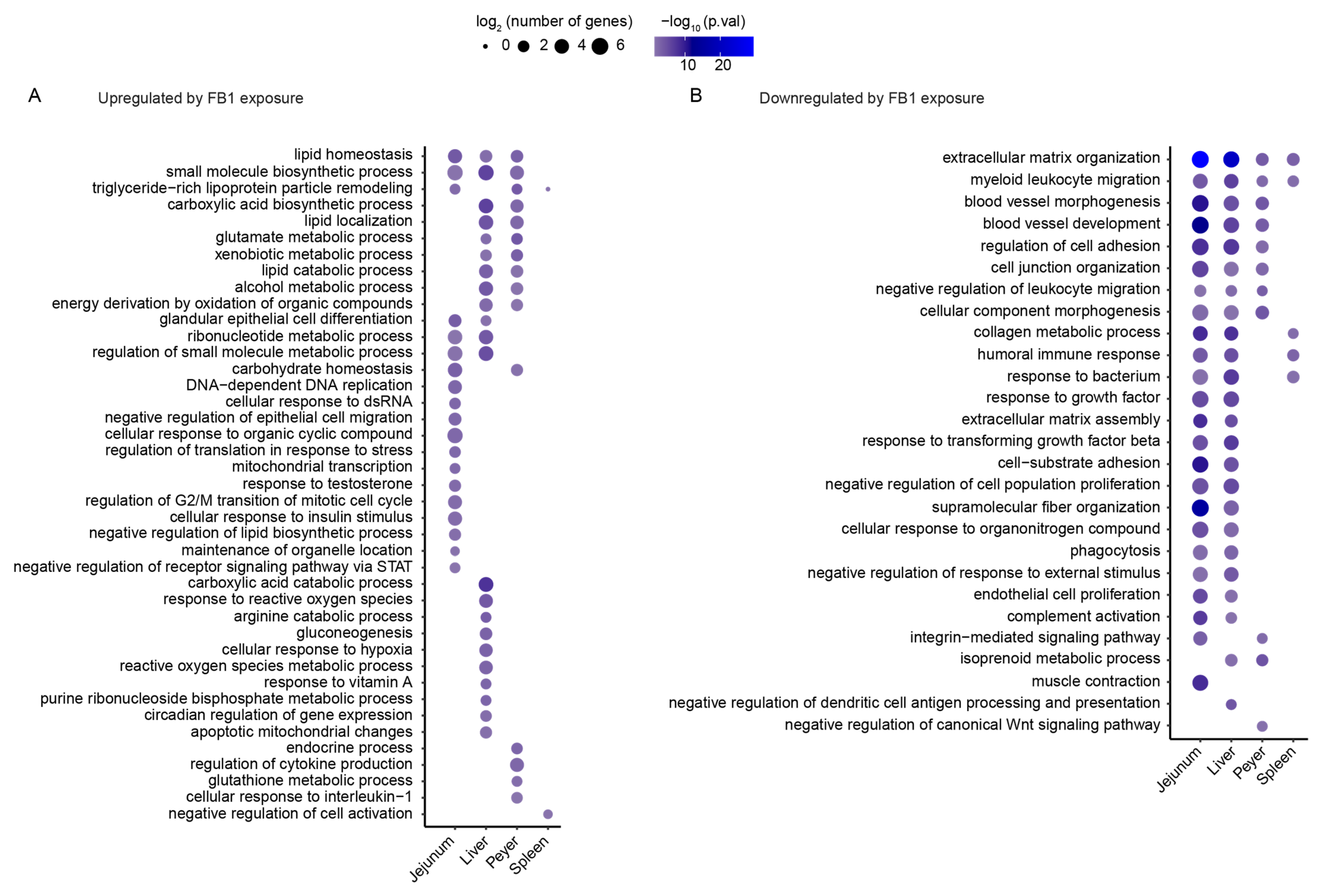 Toxins 14 00083 g004
