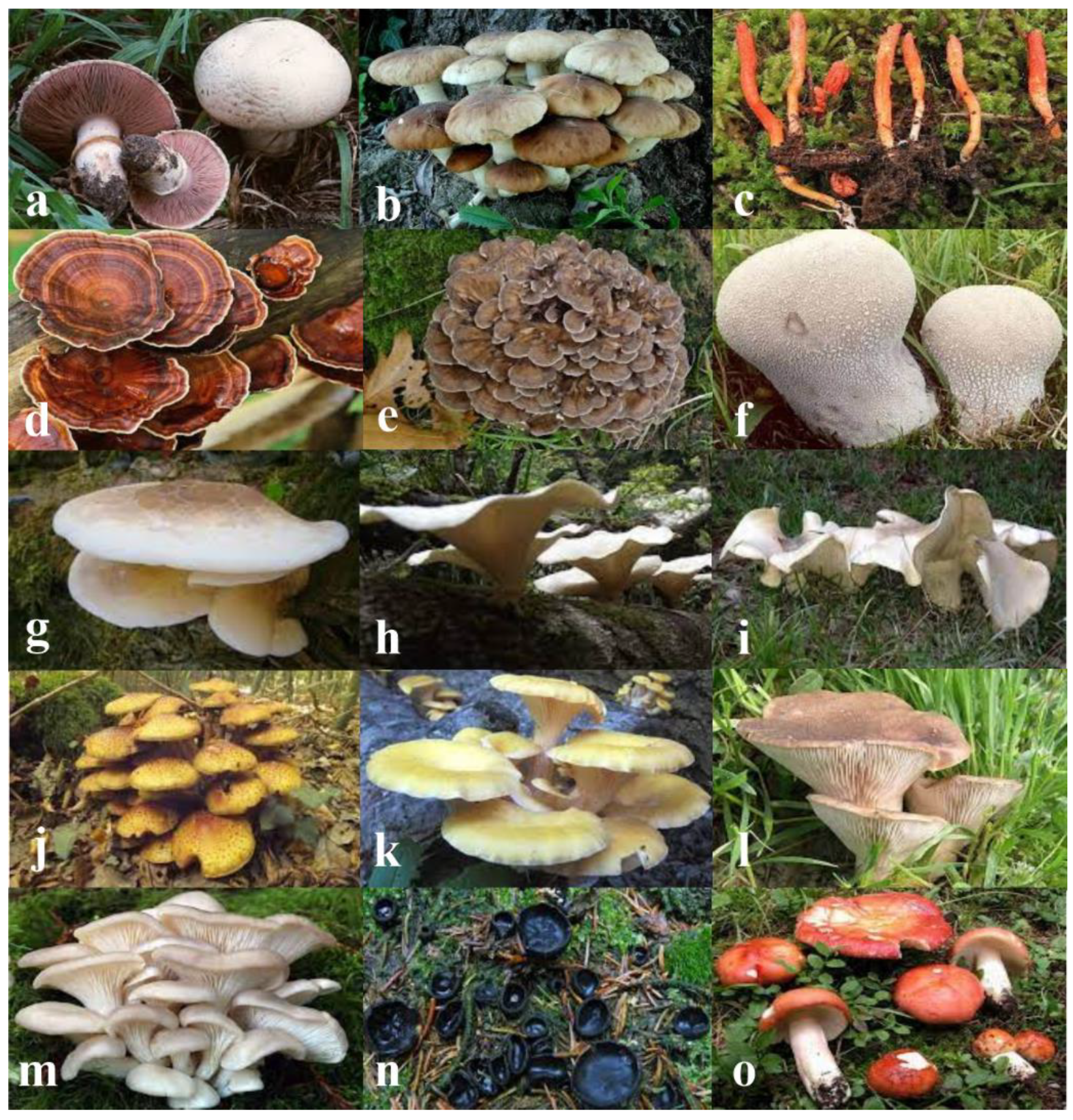 Toxins 14 00084 g002