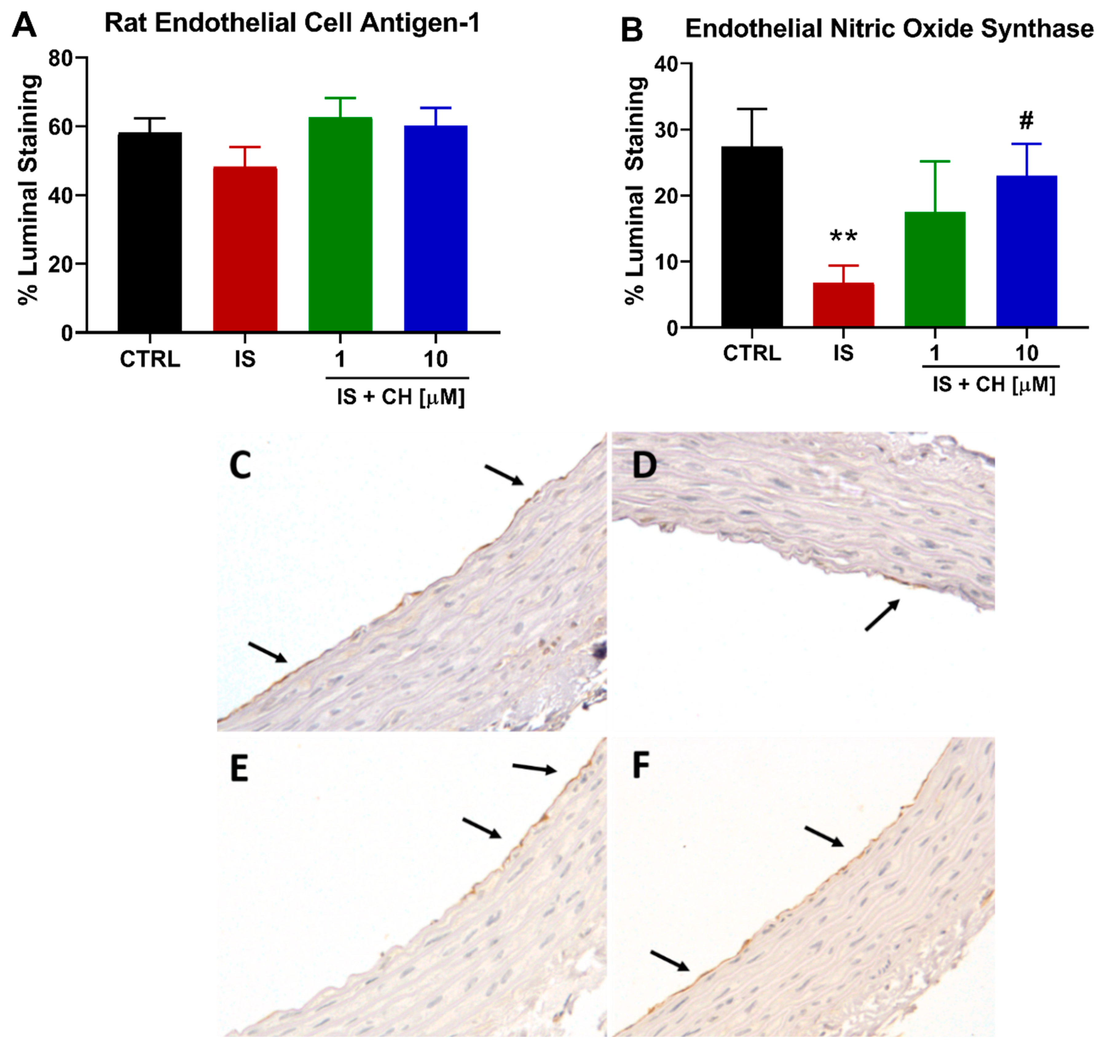 Toxins 14 00100 g002