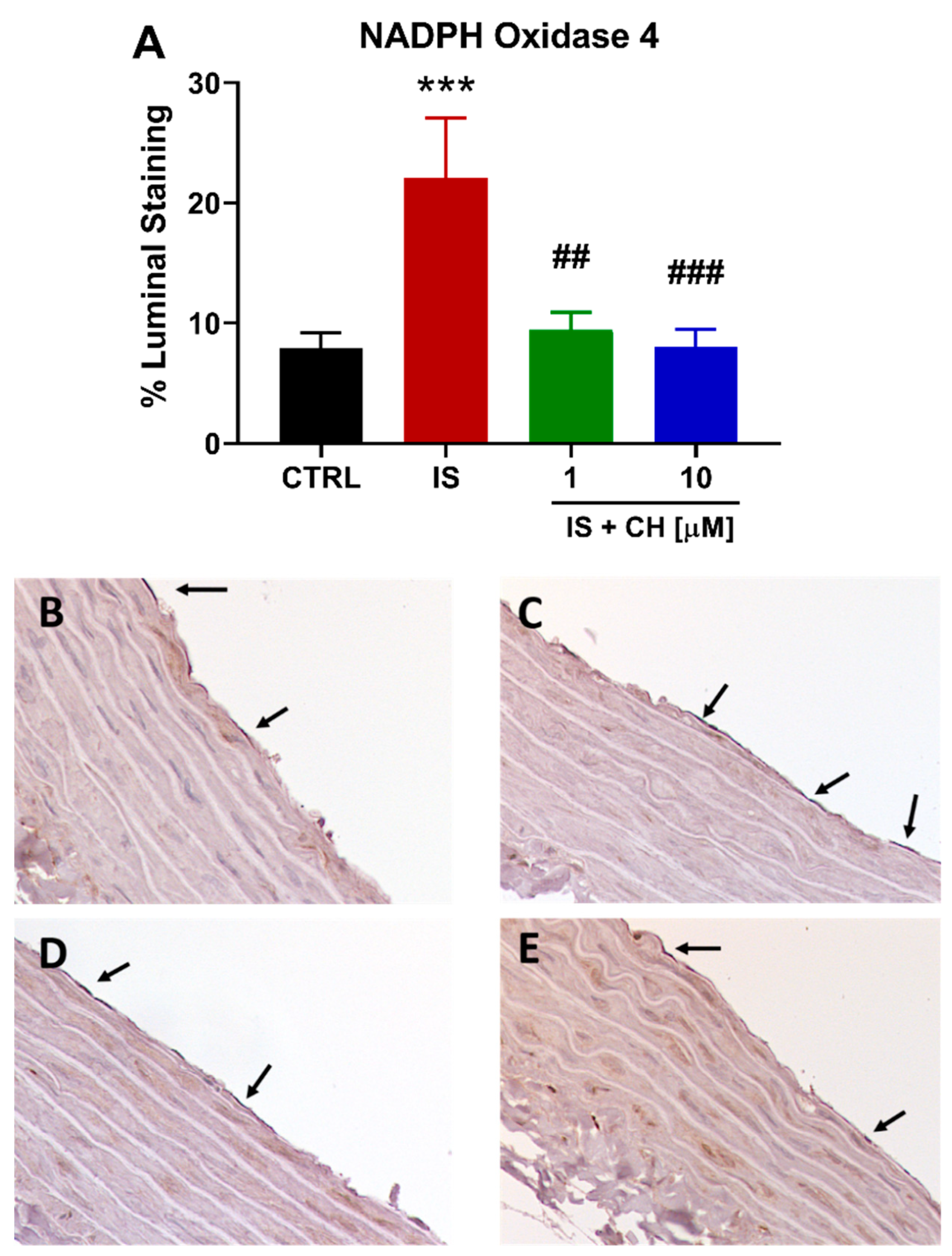 Toxins 14 00100 g004
