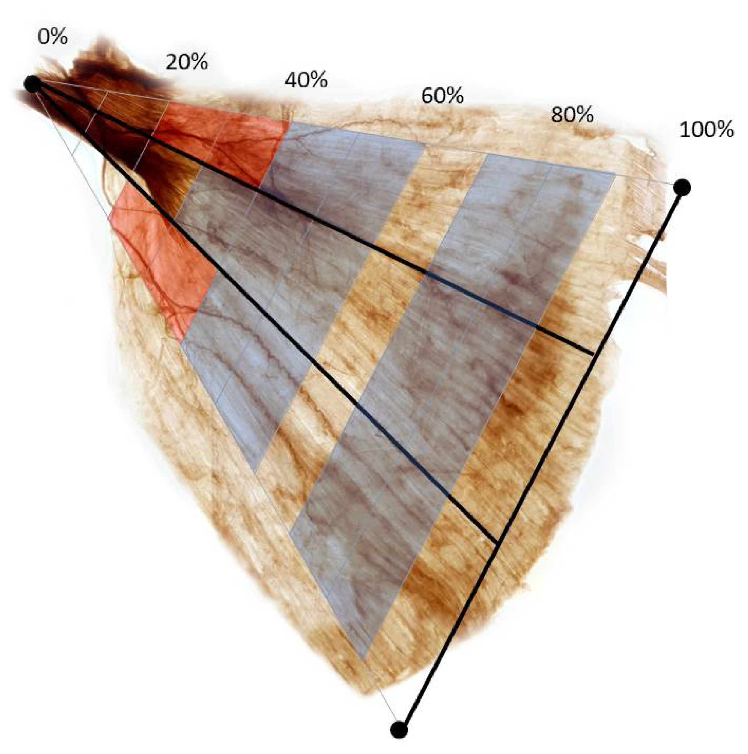Toxins 14 00107 g002