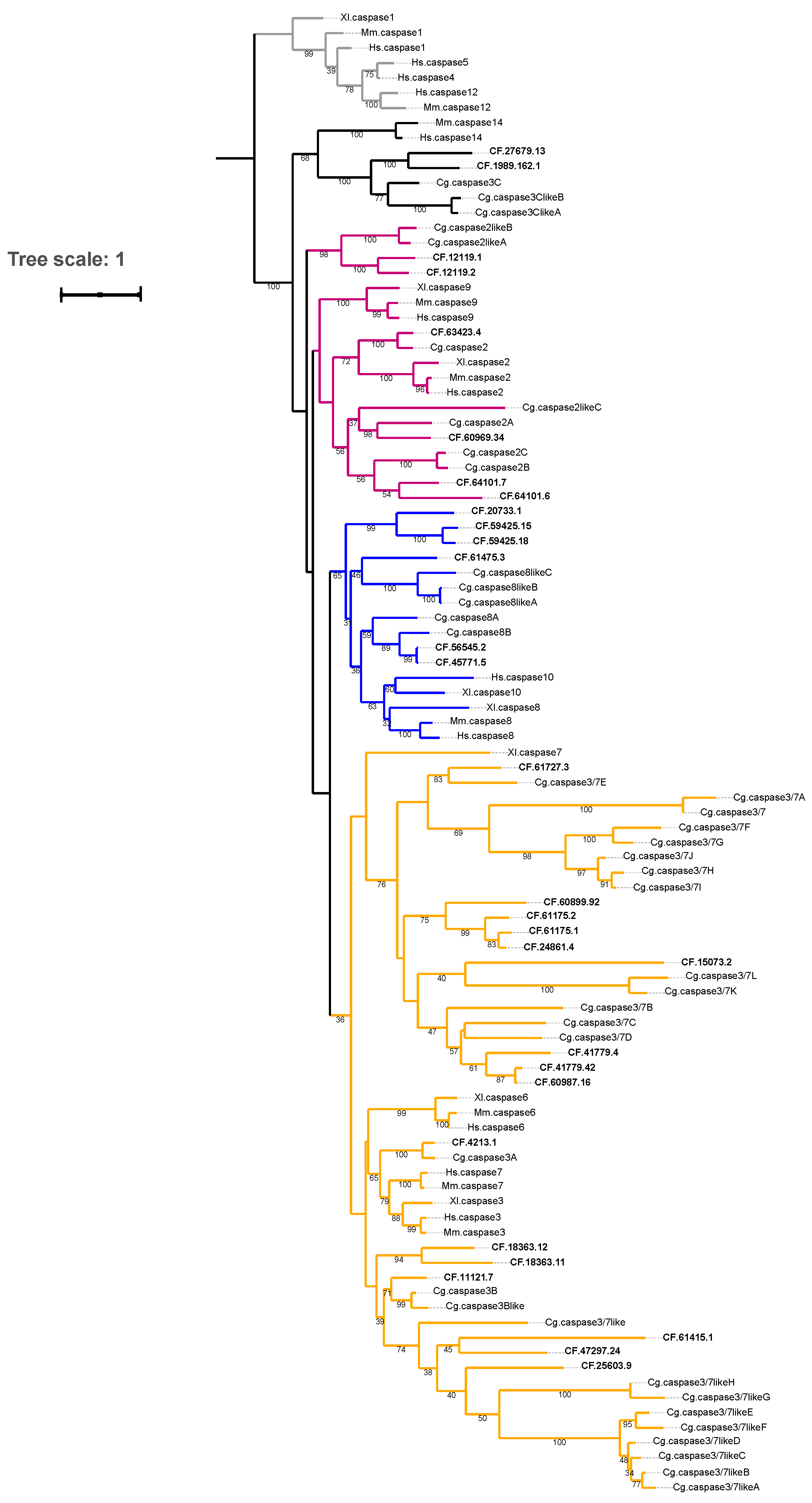 Toxins 14 00108 g001