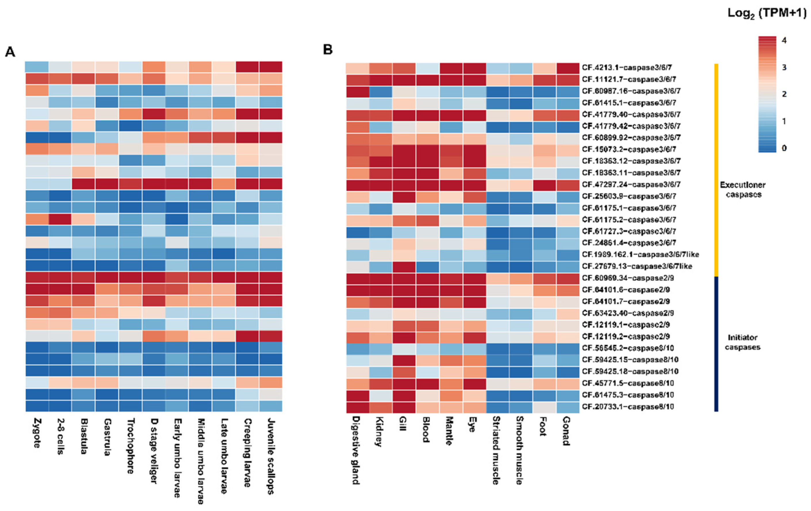 Toxins 14 00108 g003