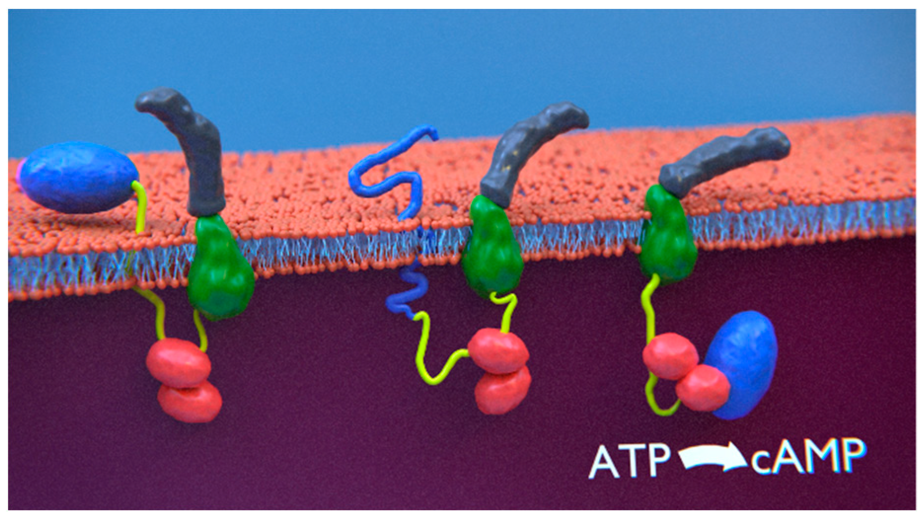 Toxins 14 00110 g003