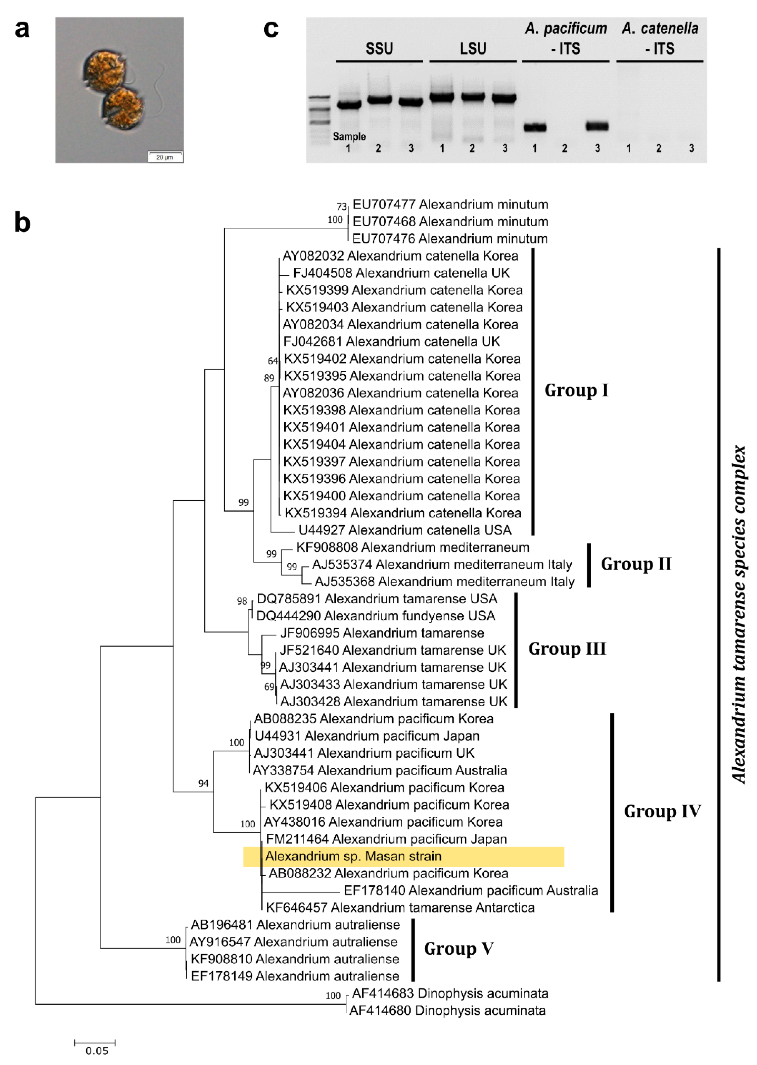 Toxins 14 00111 g001
