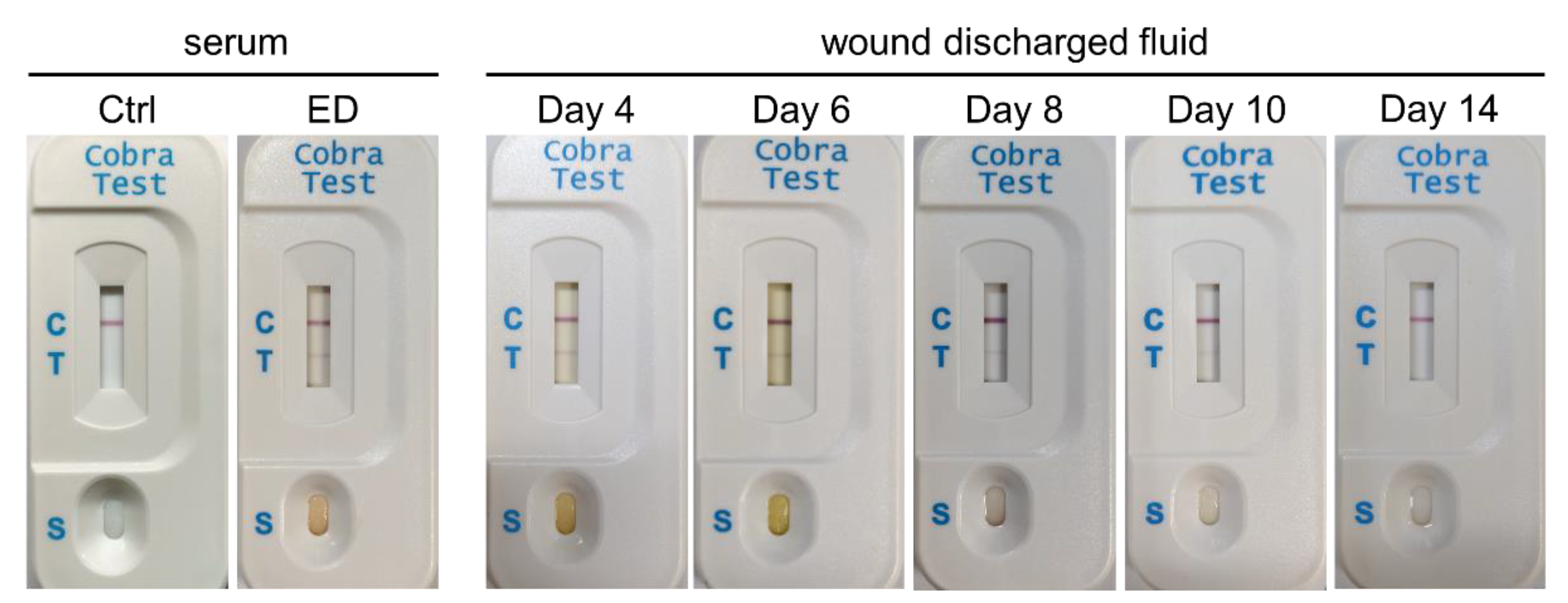 Toxins 14 00122 g003
