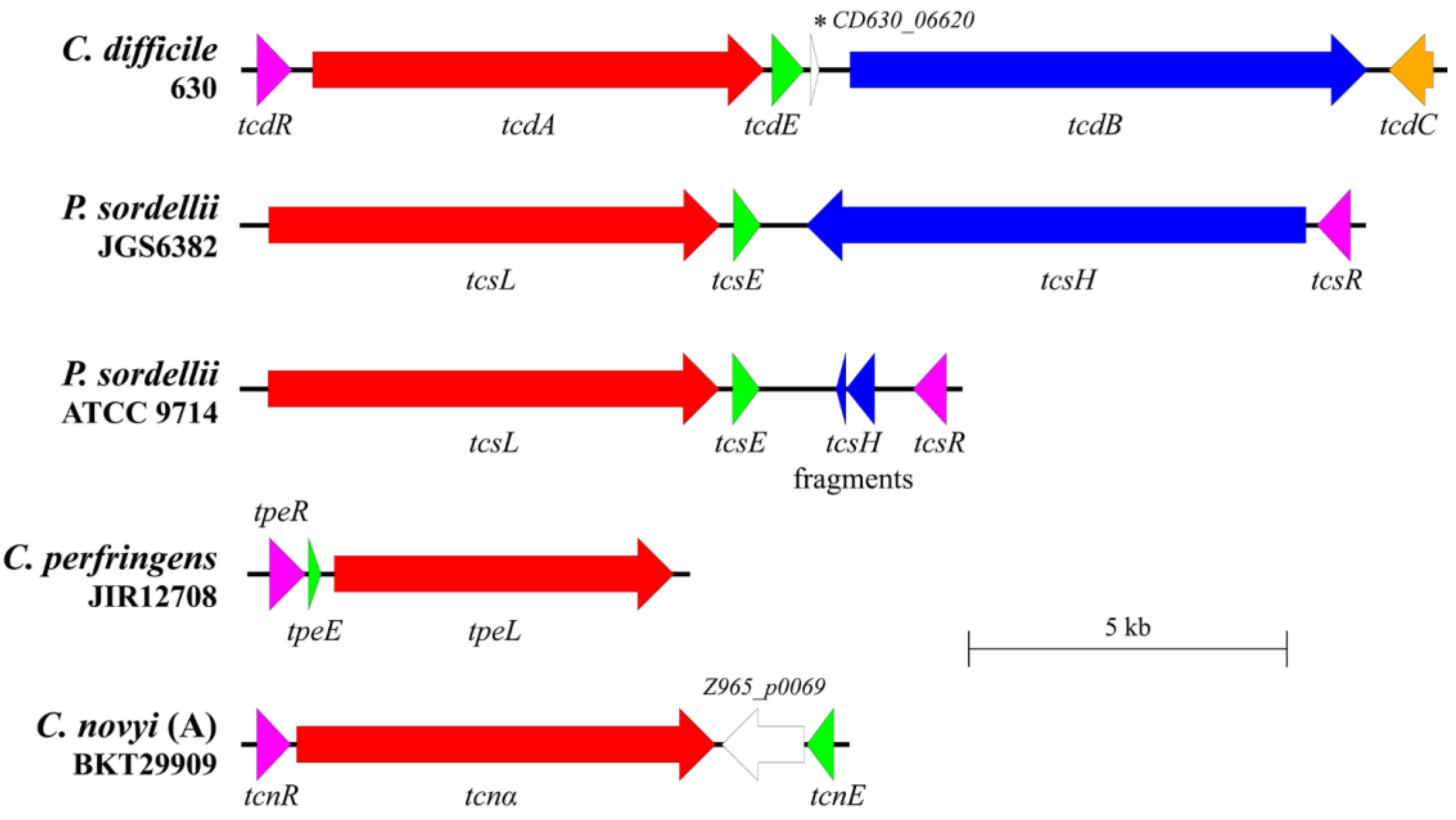 Toxins 14 00124 g001