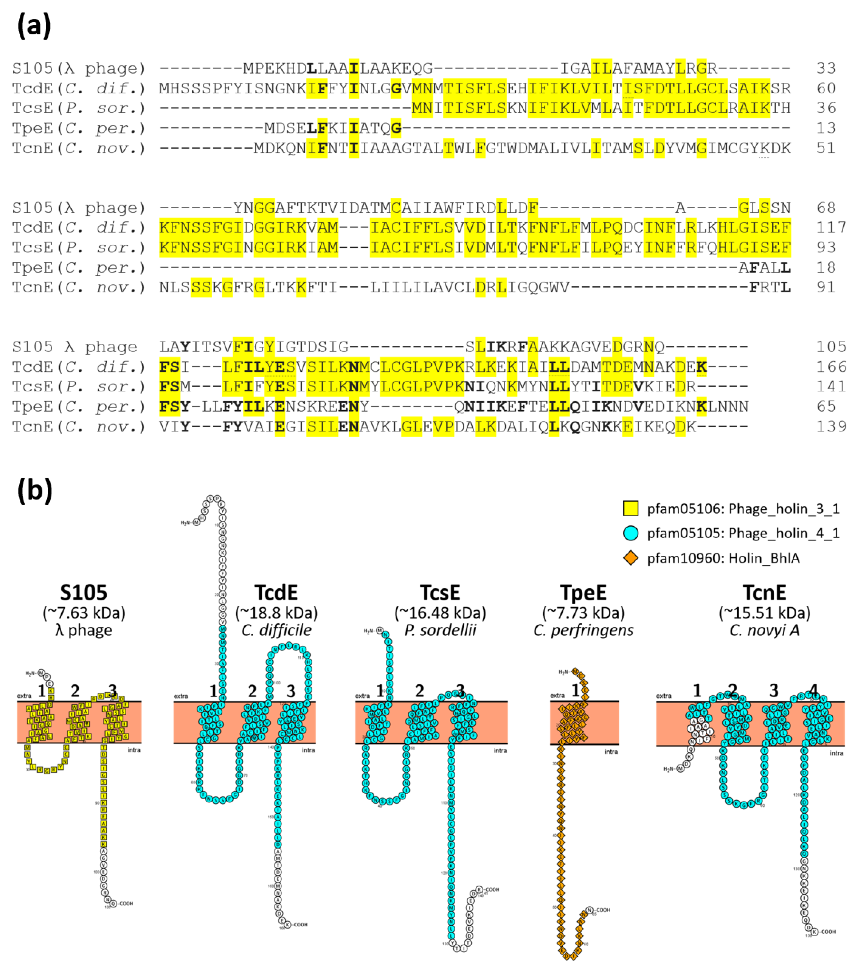 Toxins 14 00124 g002