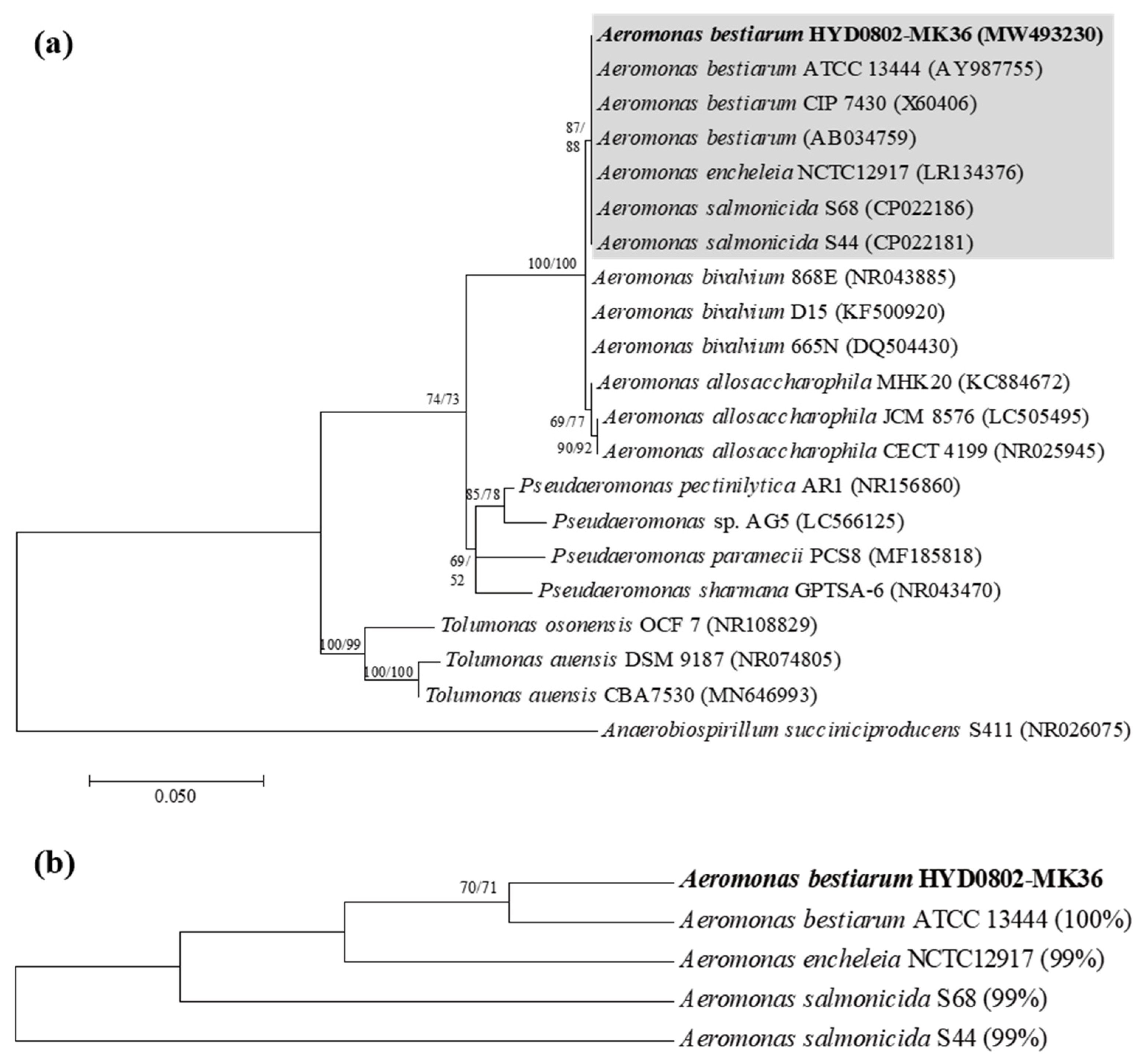 Toxins 14 00128 g001