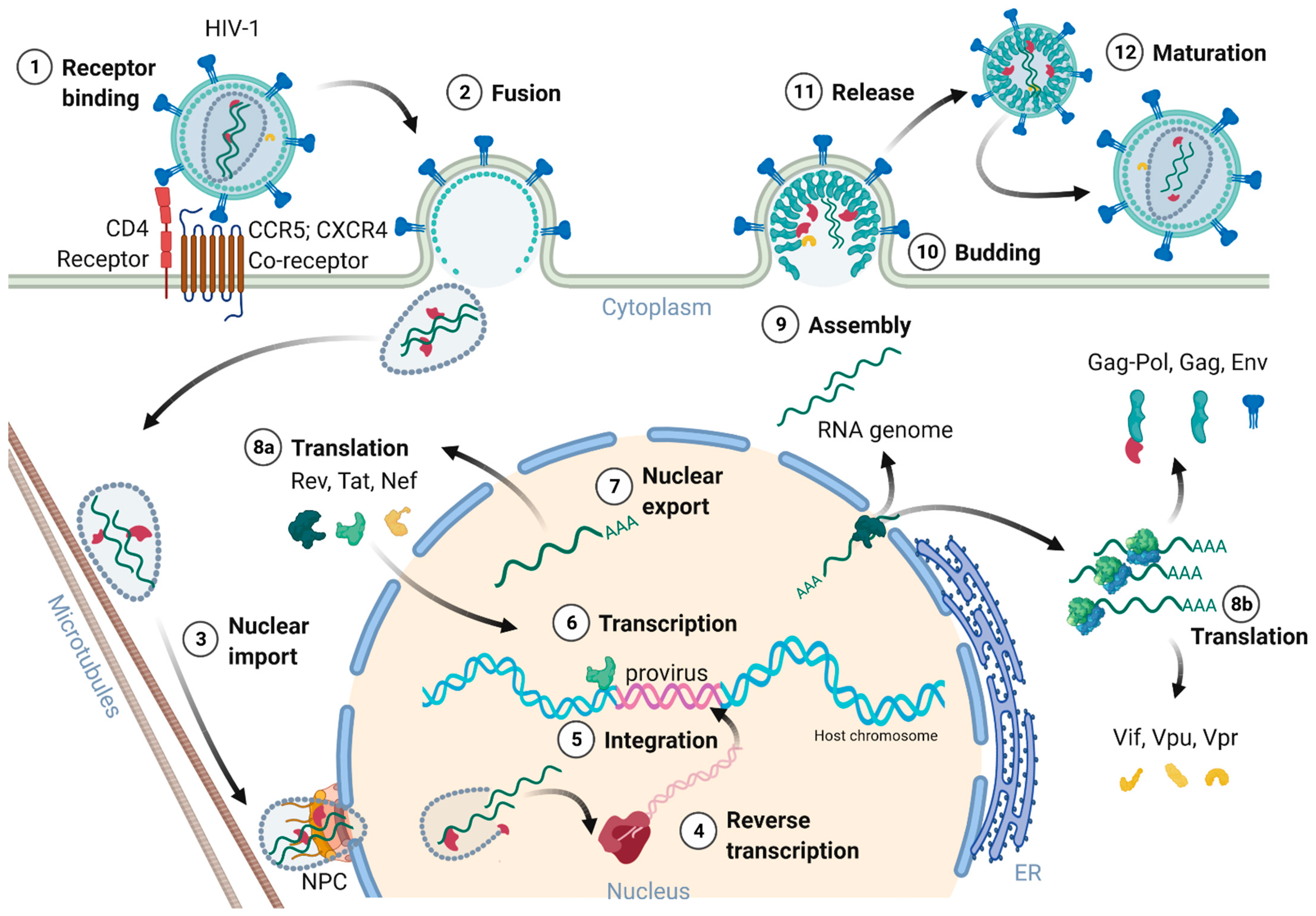 Toxins 14 00138 g002