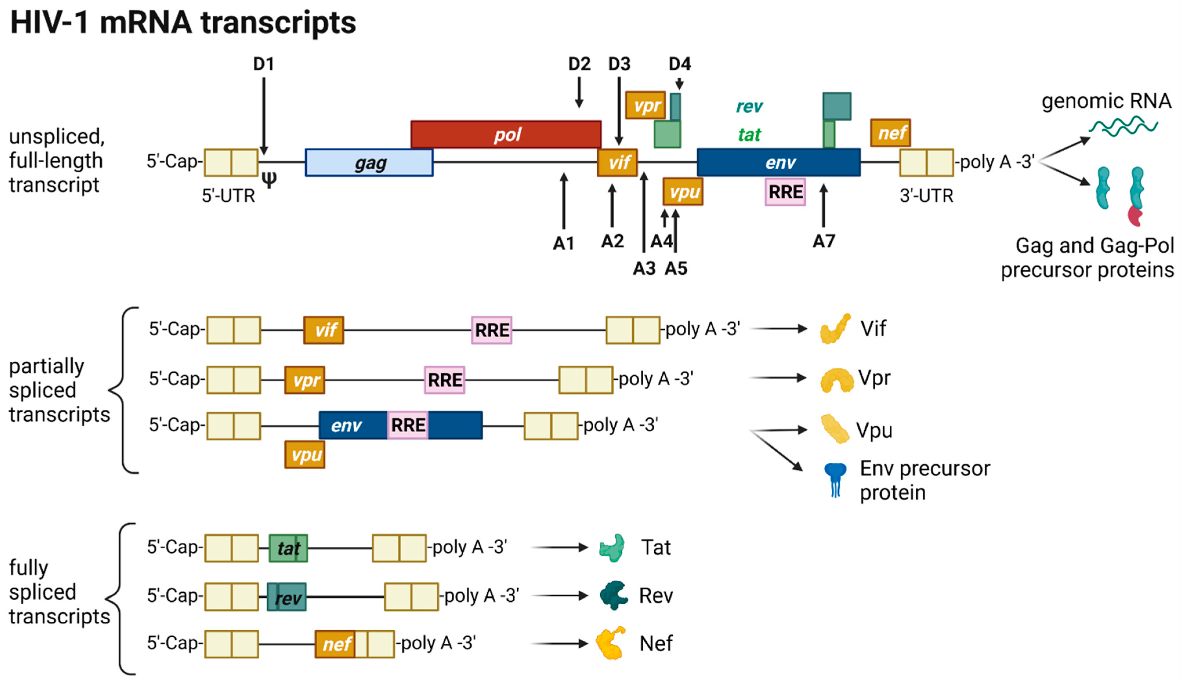 Toxins 14 00138 g003