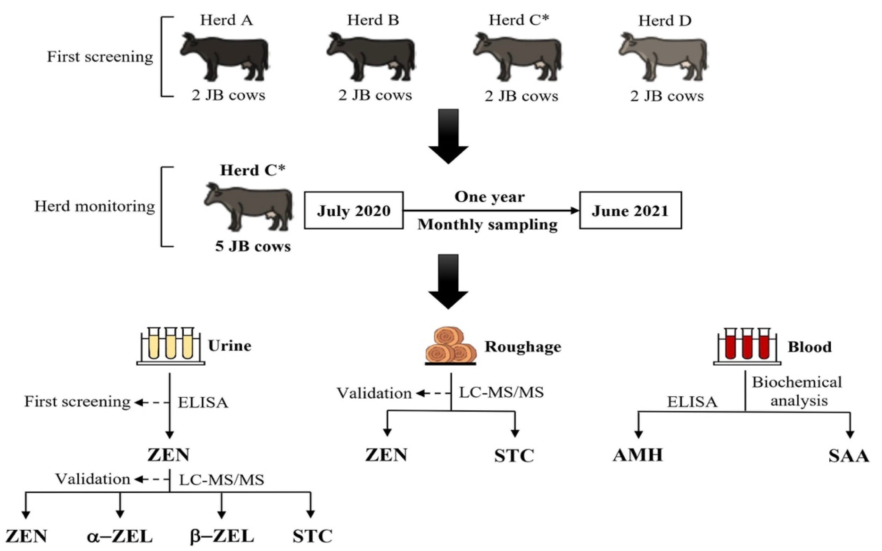 Toxins 14 00143 g002