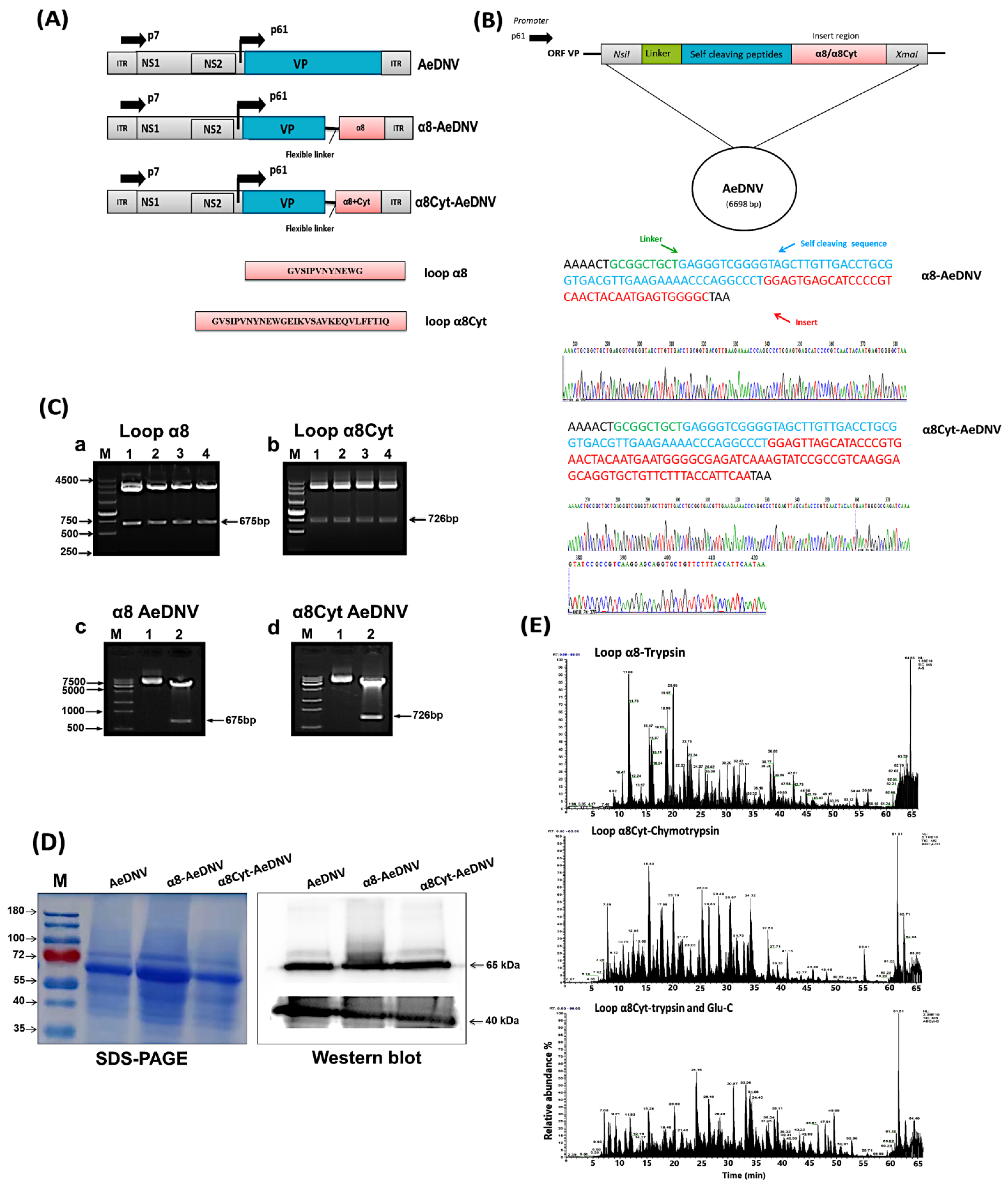 Toxins 14 00147 g001 Toxins 14 00147 g001