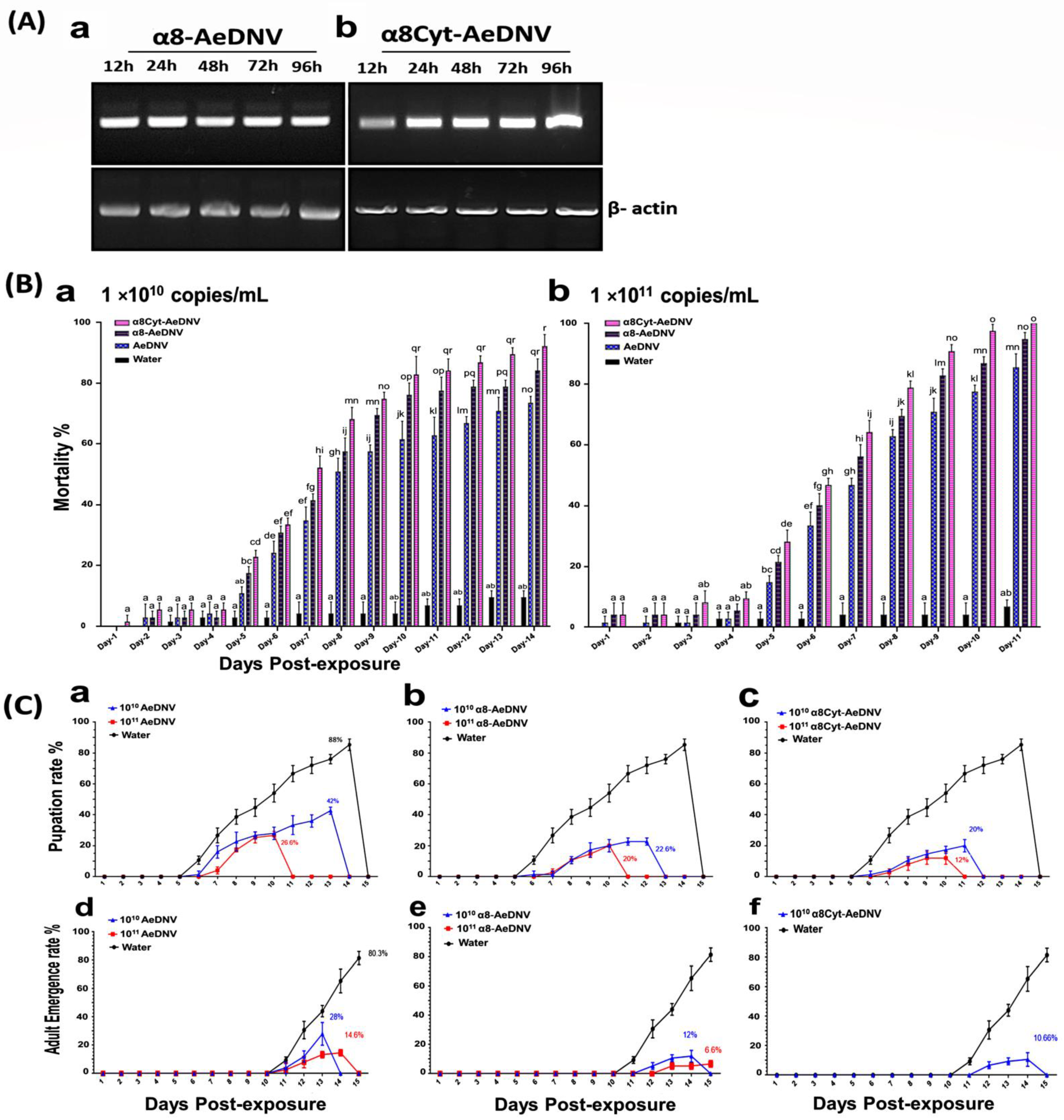 Toxins 14 00147 g002 Toxins 14 00147 g002