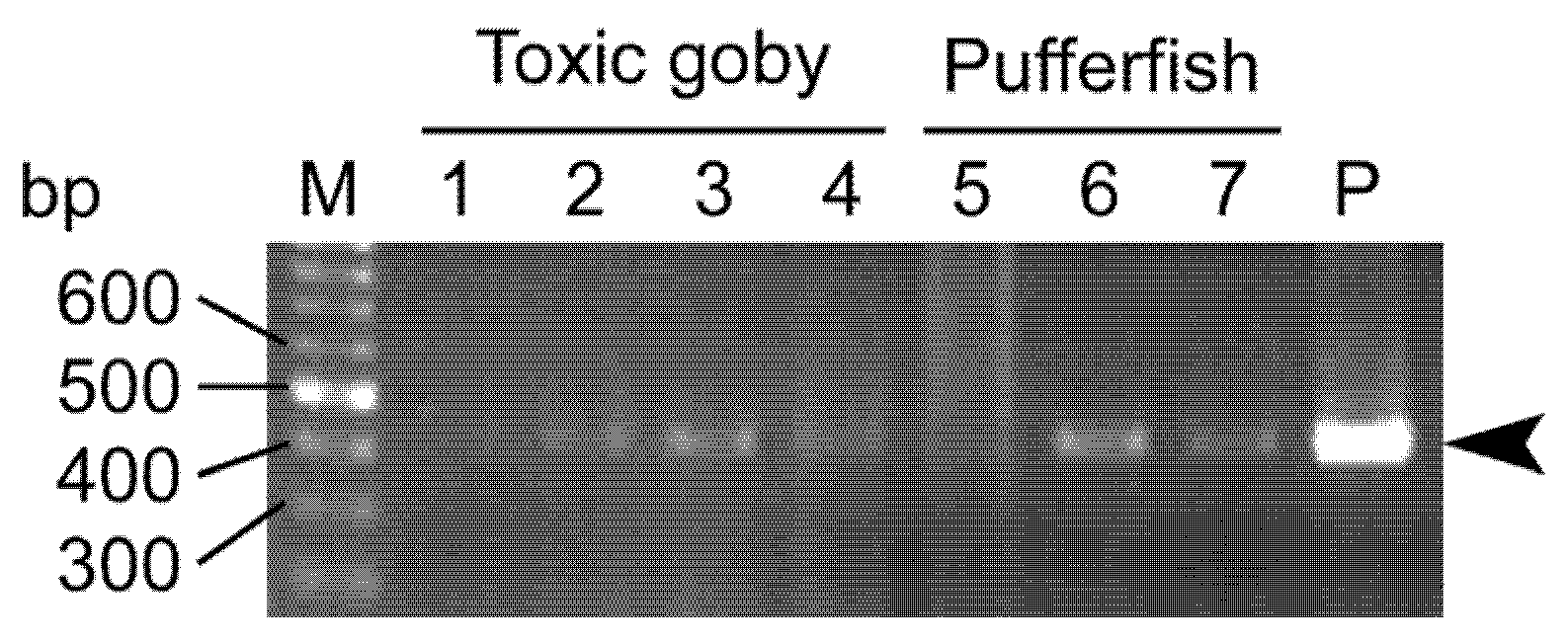Toxins 14 00150 g004
