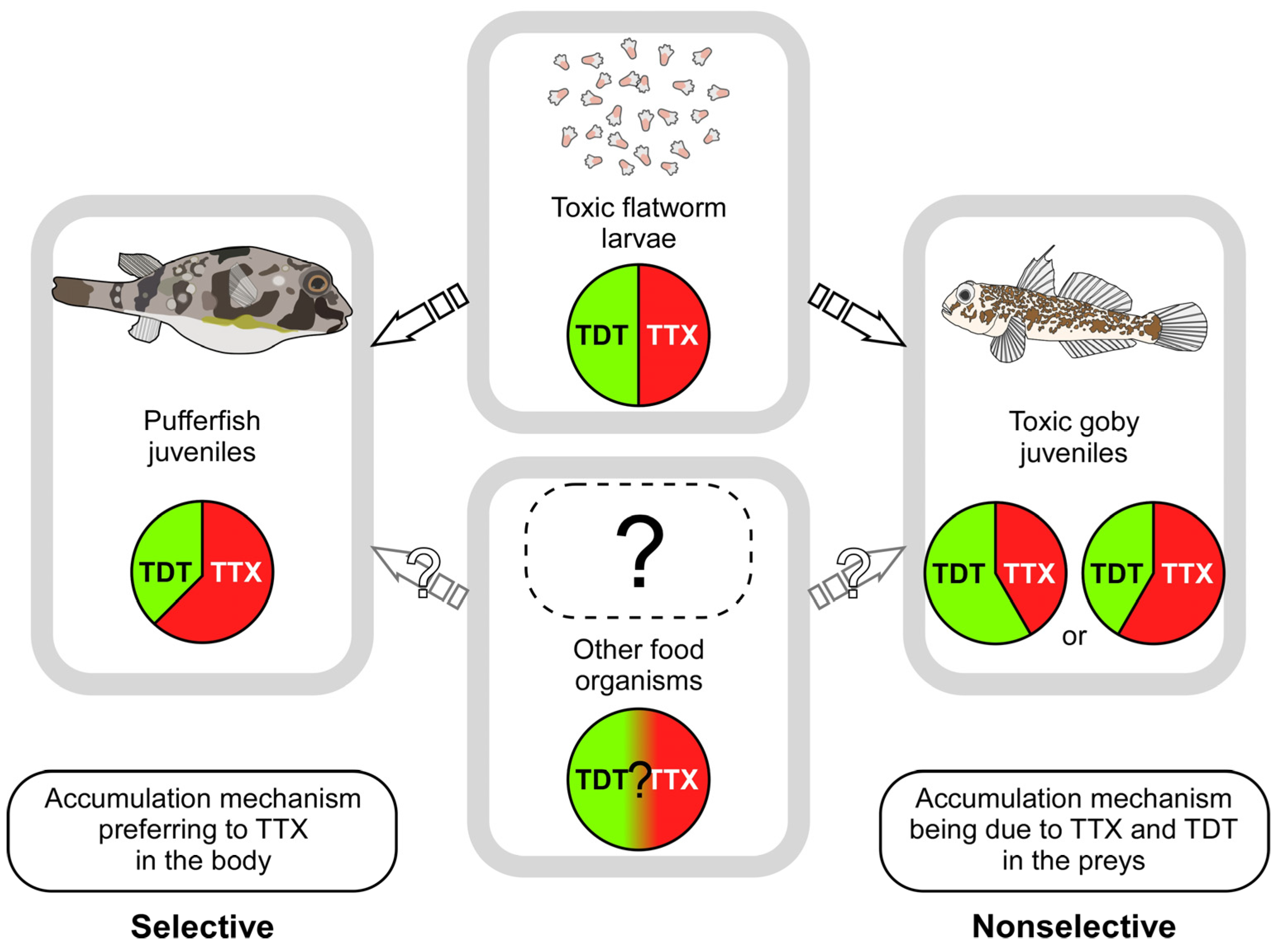 Toxins 14 00150 g005