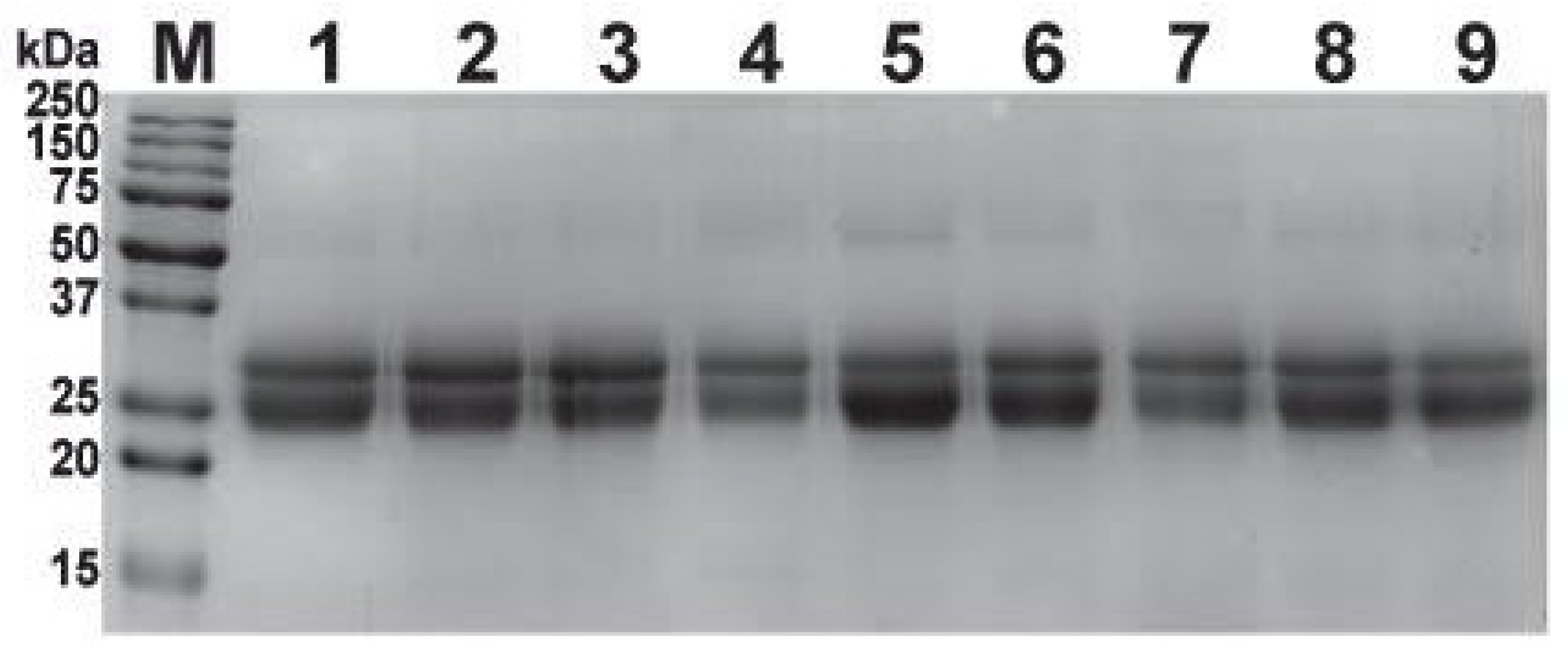 Toxins 14 00168 g001