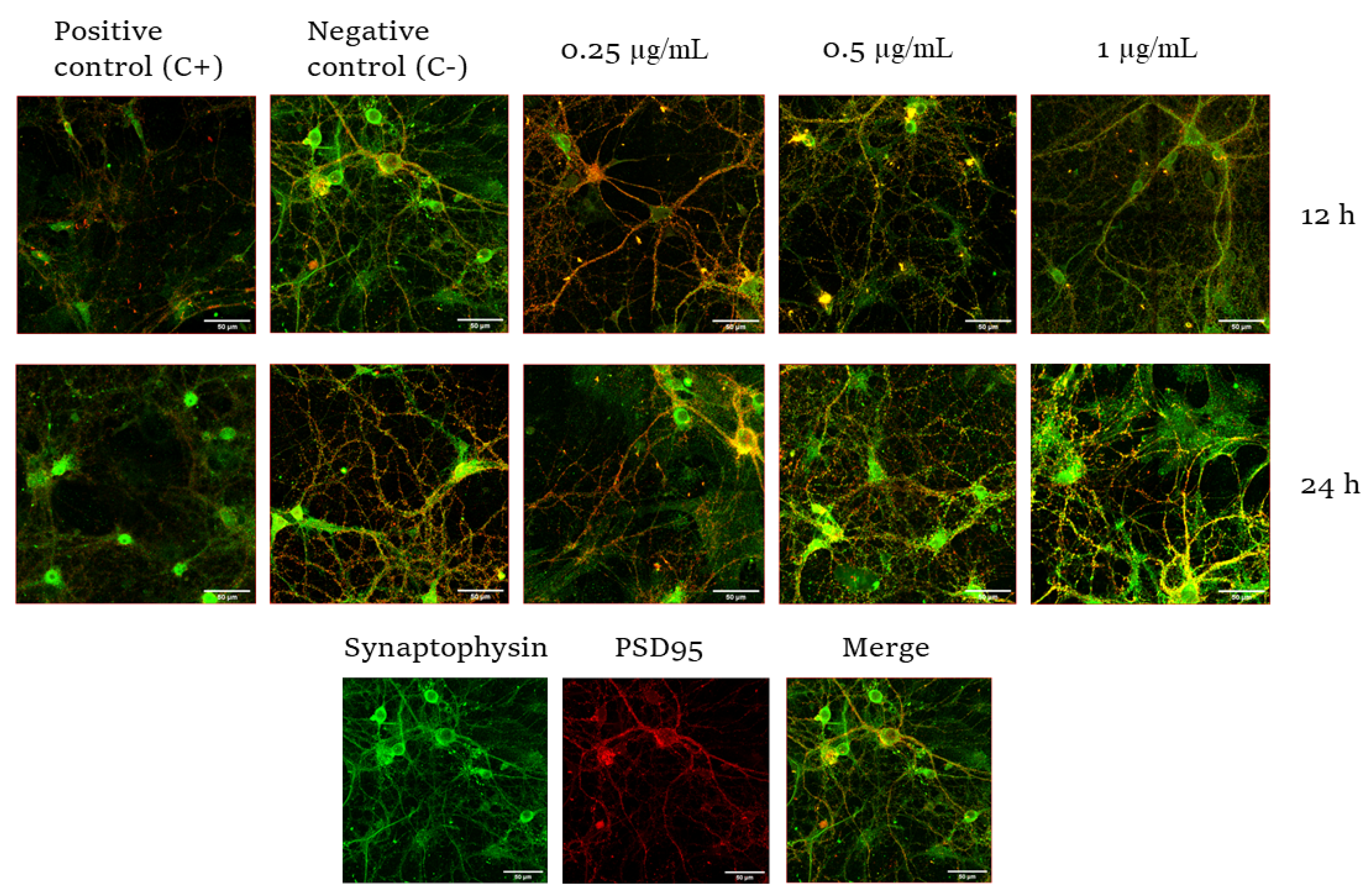 Toxins 14 00175 g003