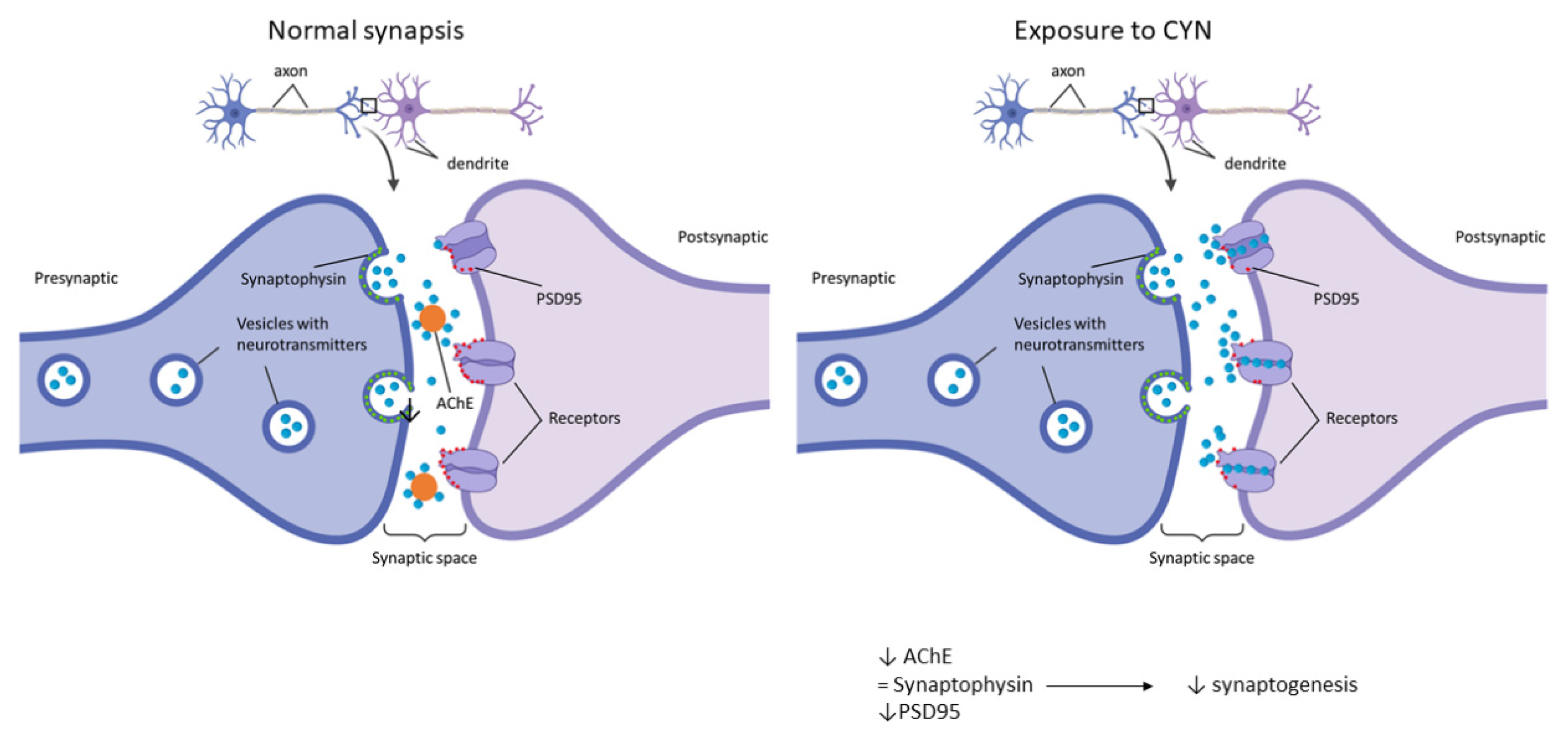 Toxins 14 00175 g005