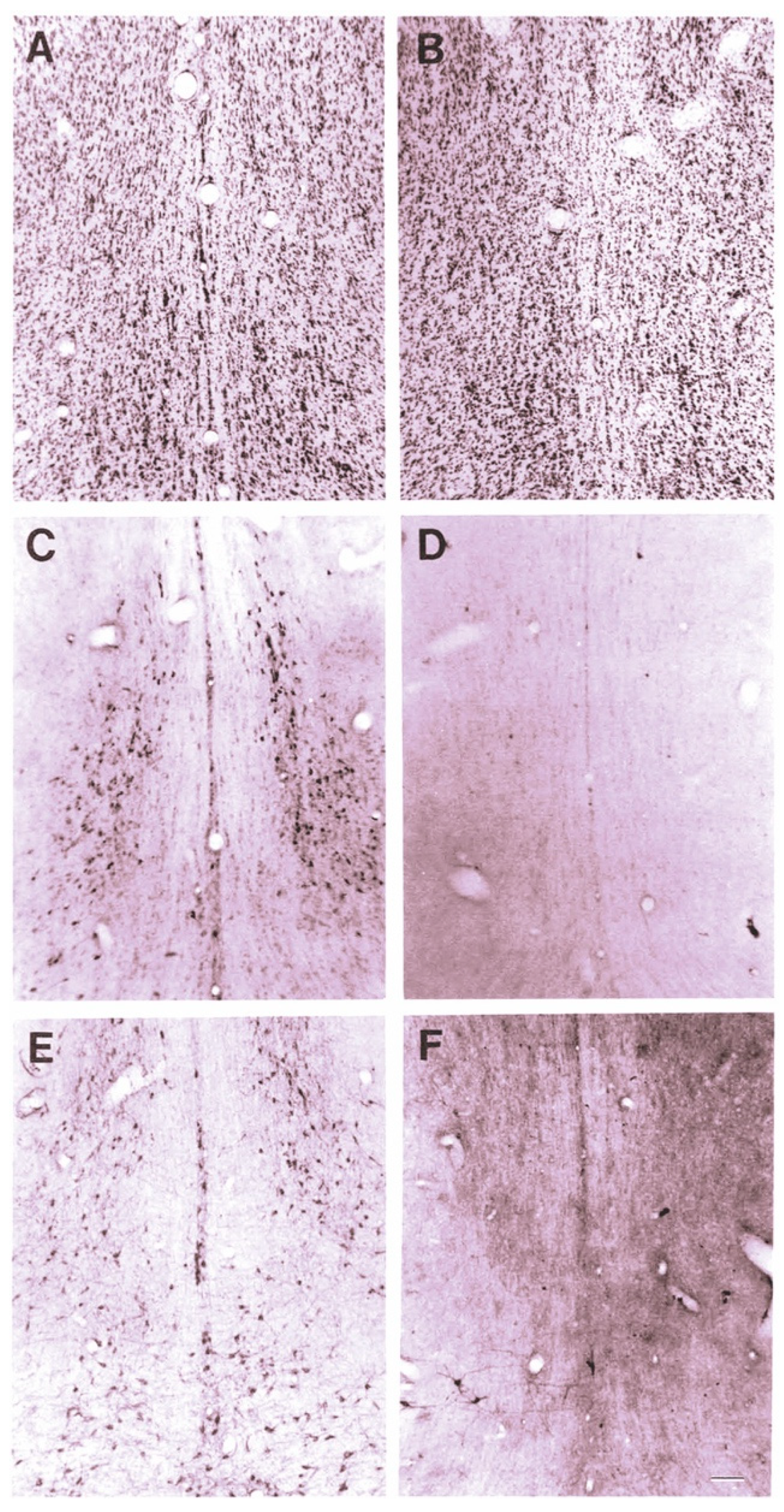 Toxins 14 00184 g001