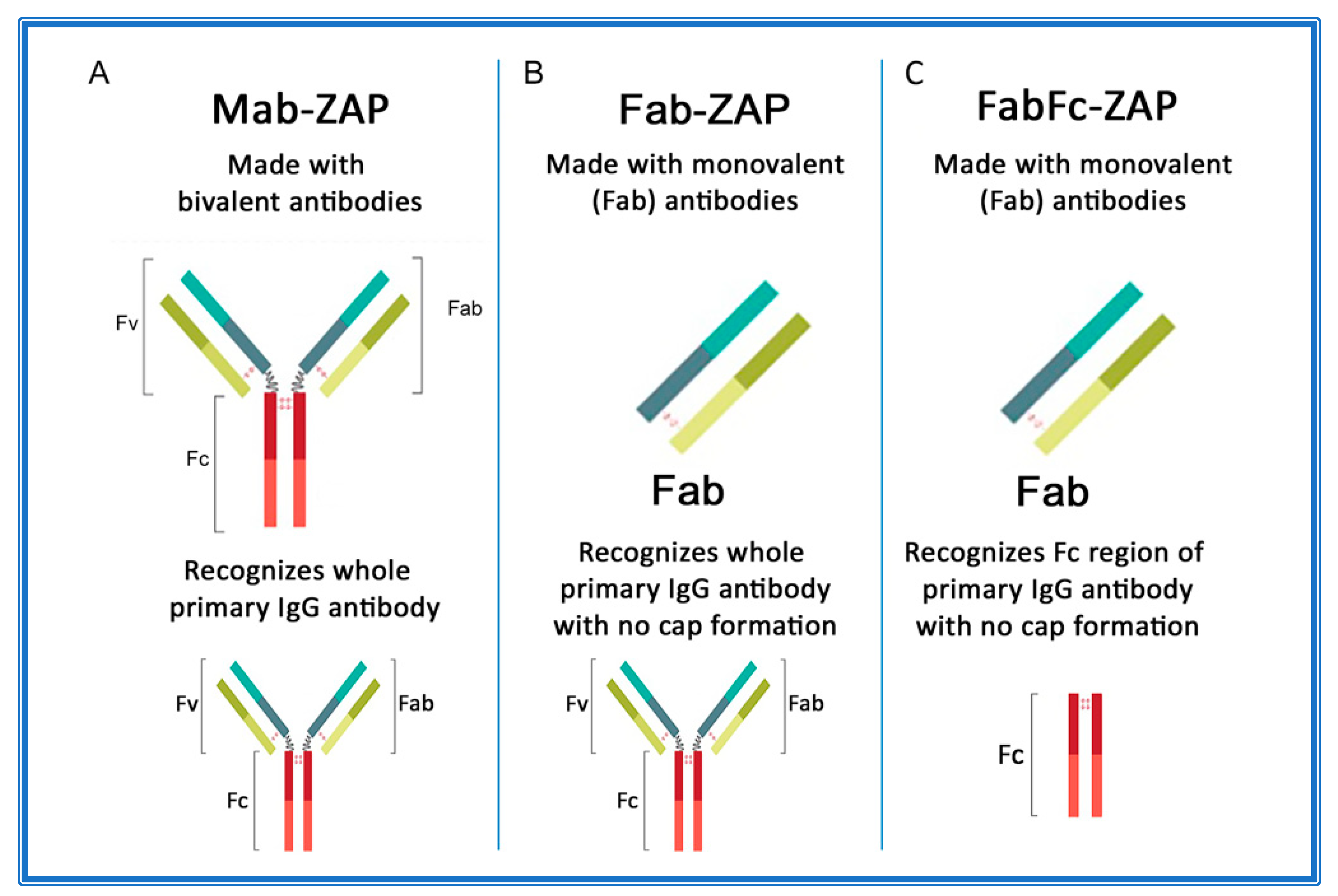 Toxins 14 00184 g003