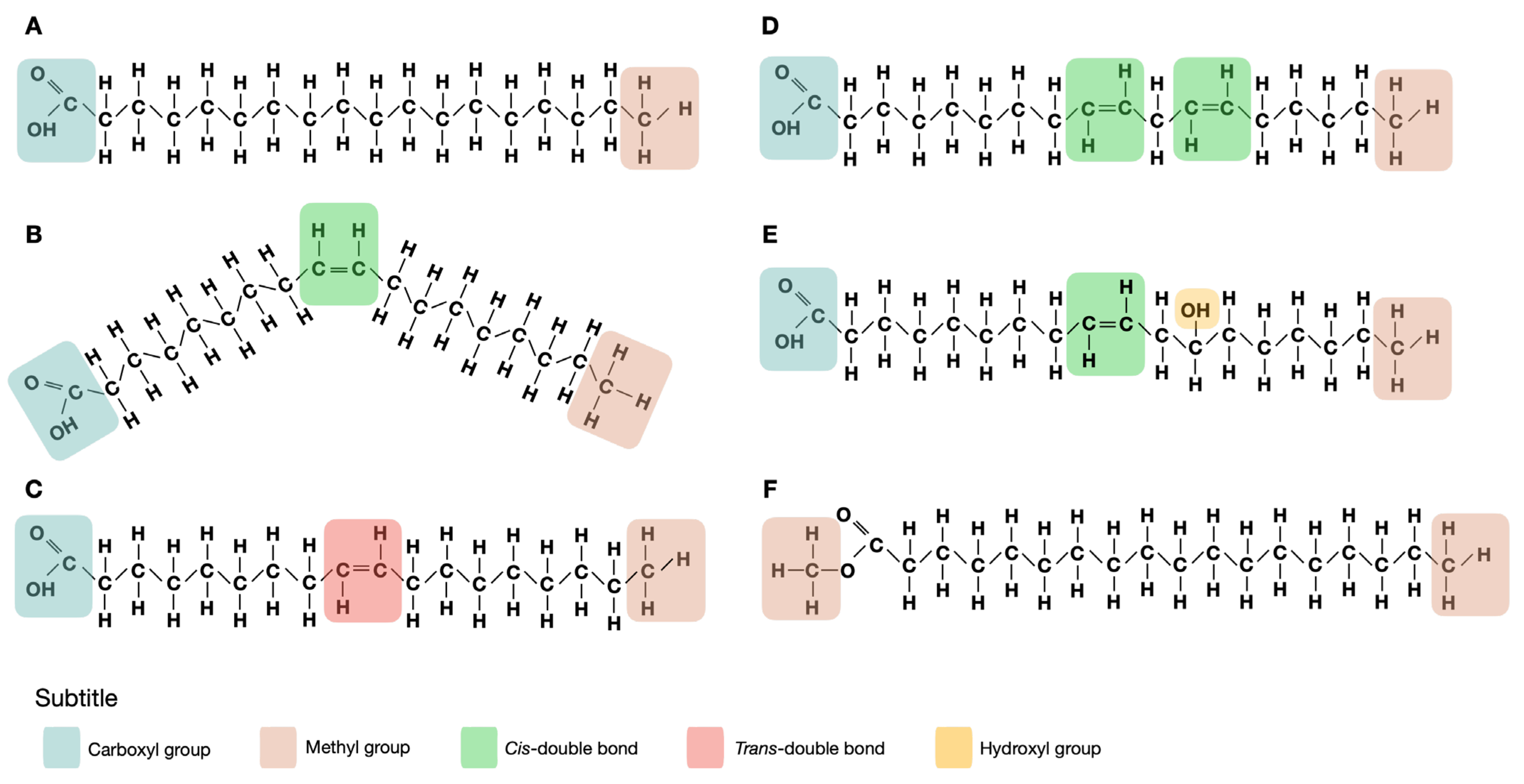Toxins 14 00188 g001