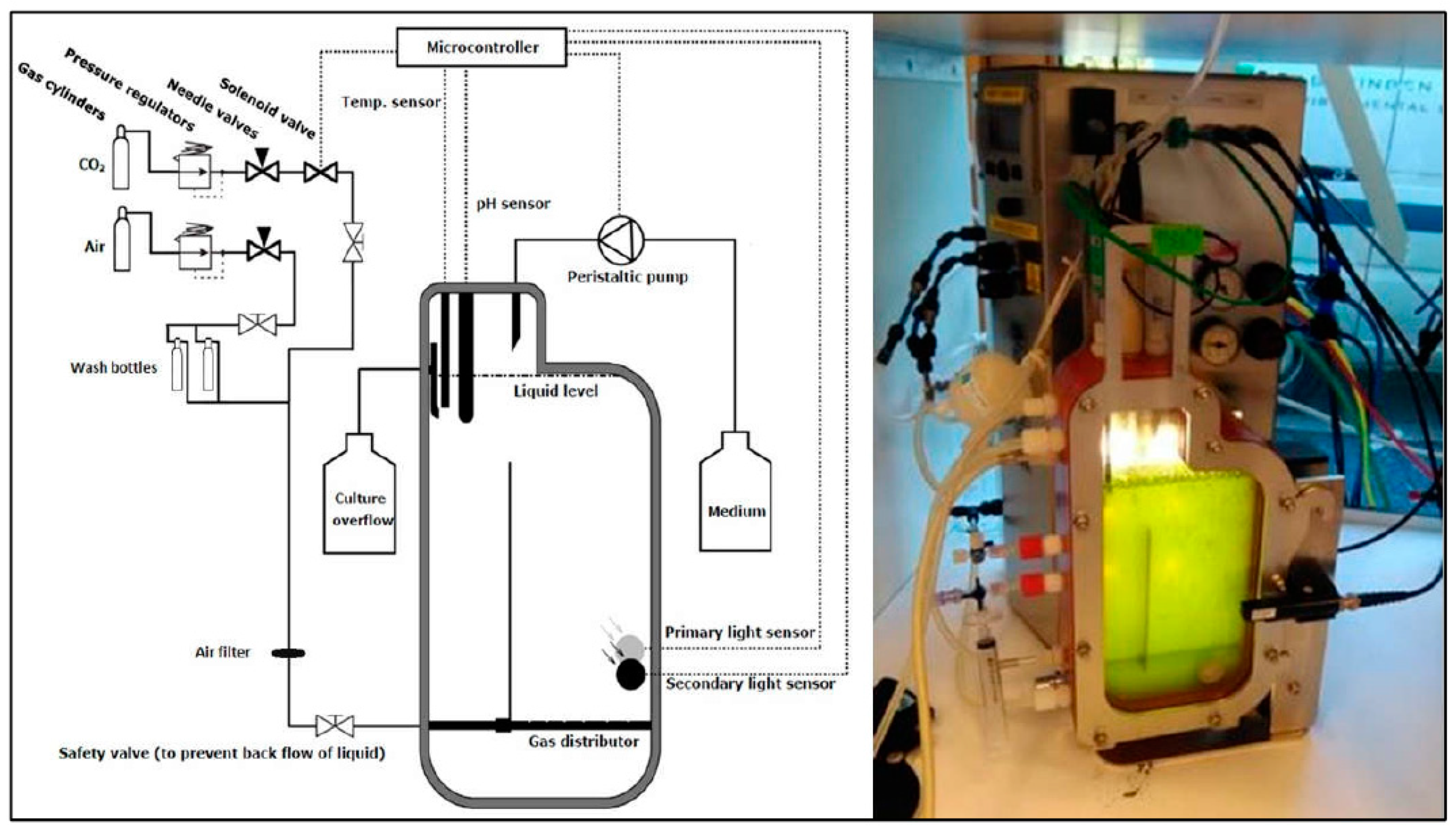 Toxins 14 00214 g006