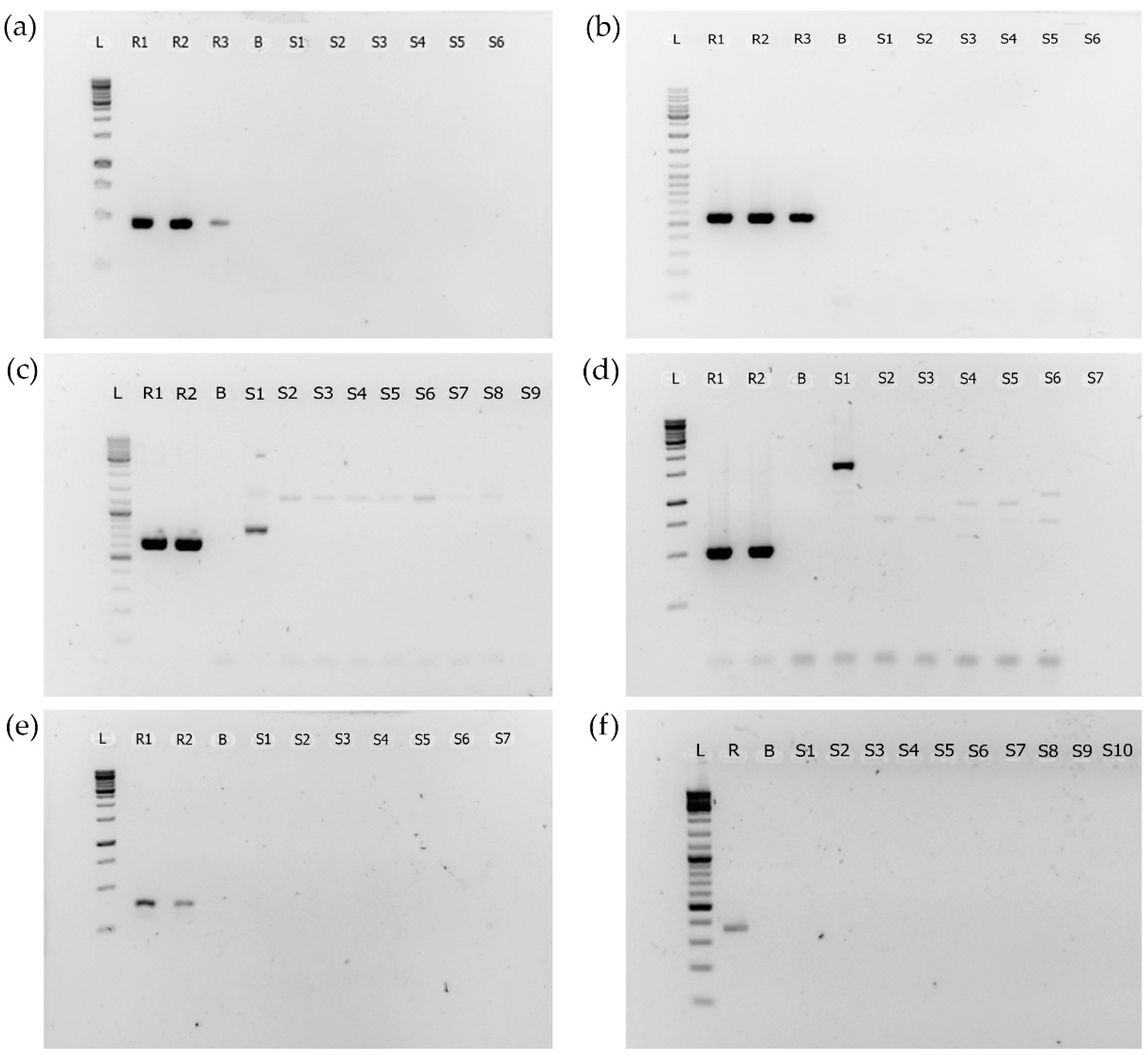 Toxins 14 00215 g002