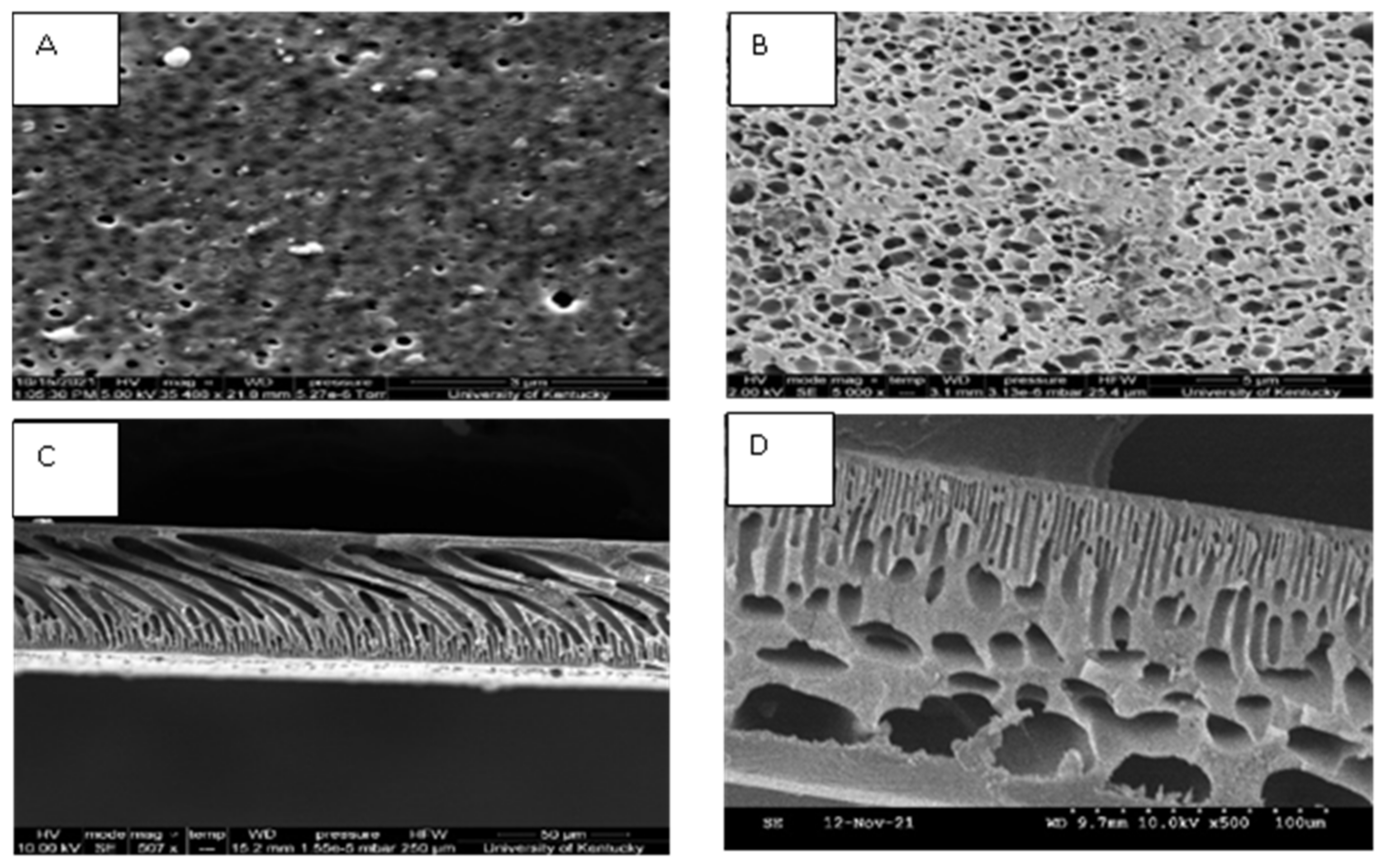 Toxins 14 00231 g003