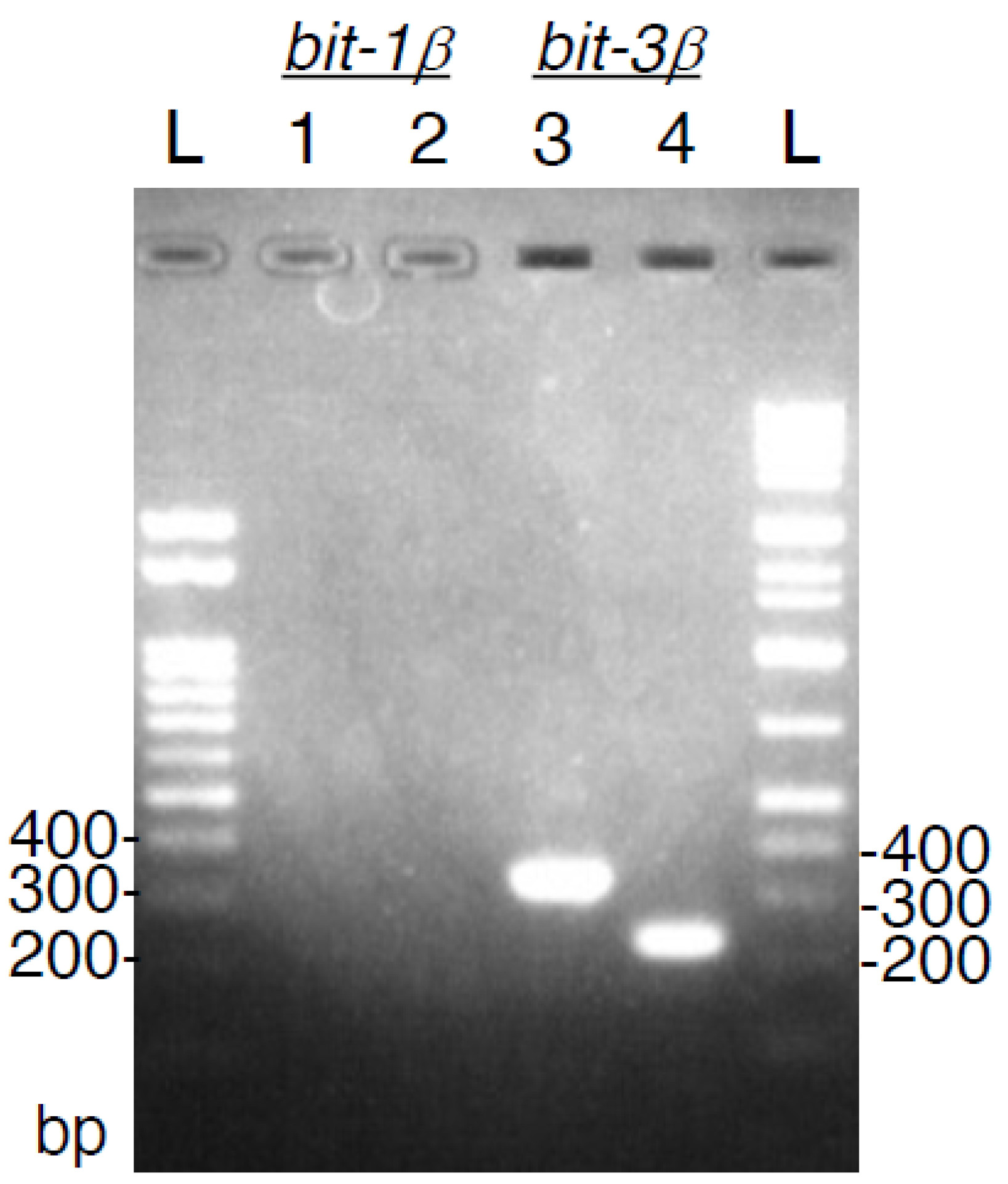 Toxins 14 00236 g003 Toxins 14 00236 g003