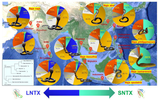 Toxins 14 00247 g003 550