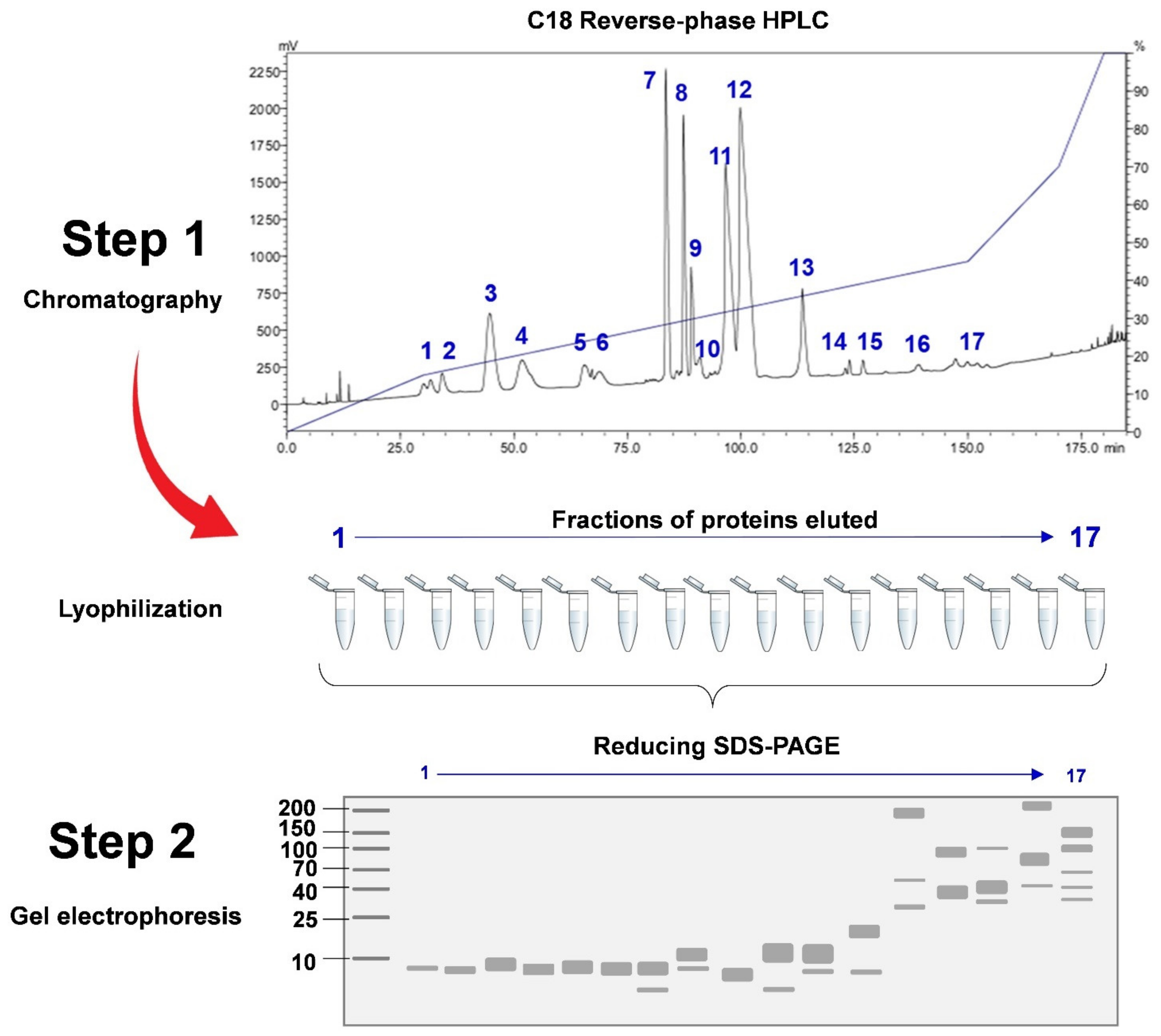 Toxins 14 00247 g004