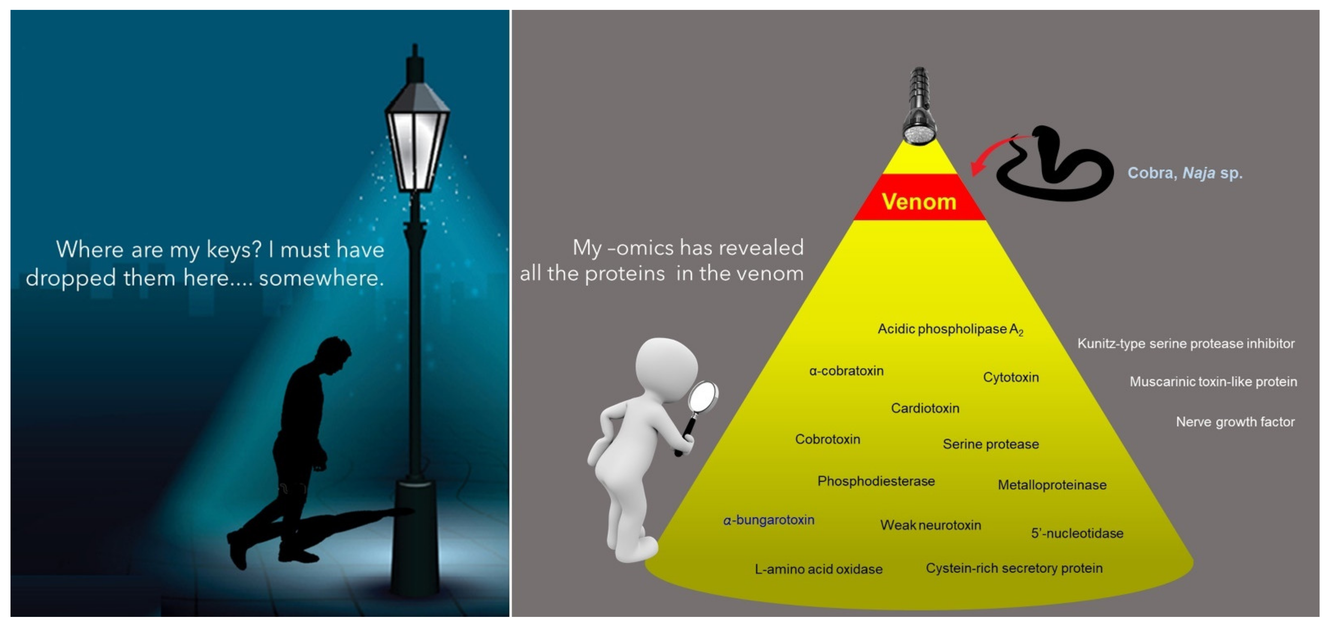 Toxins 14 00247 g007