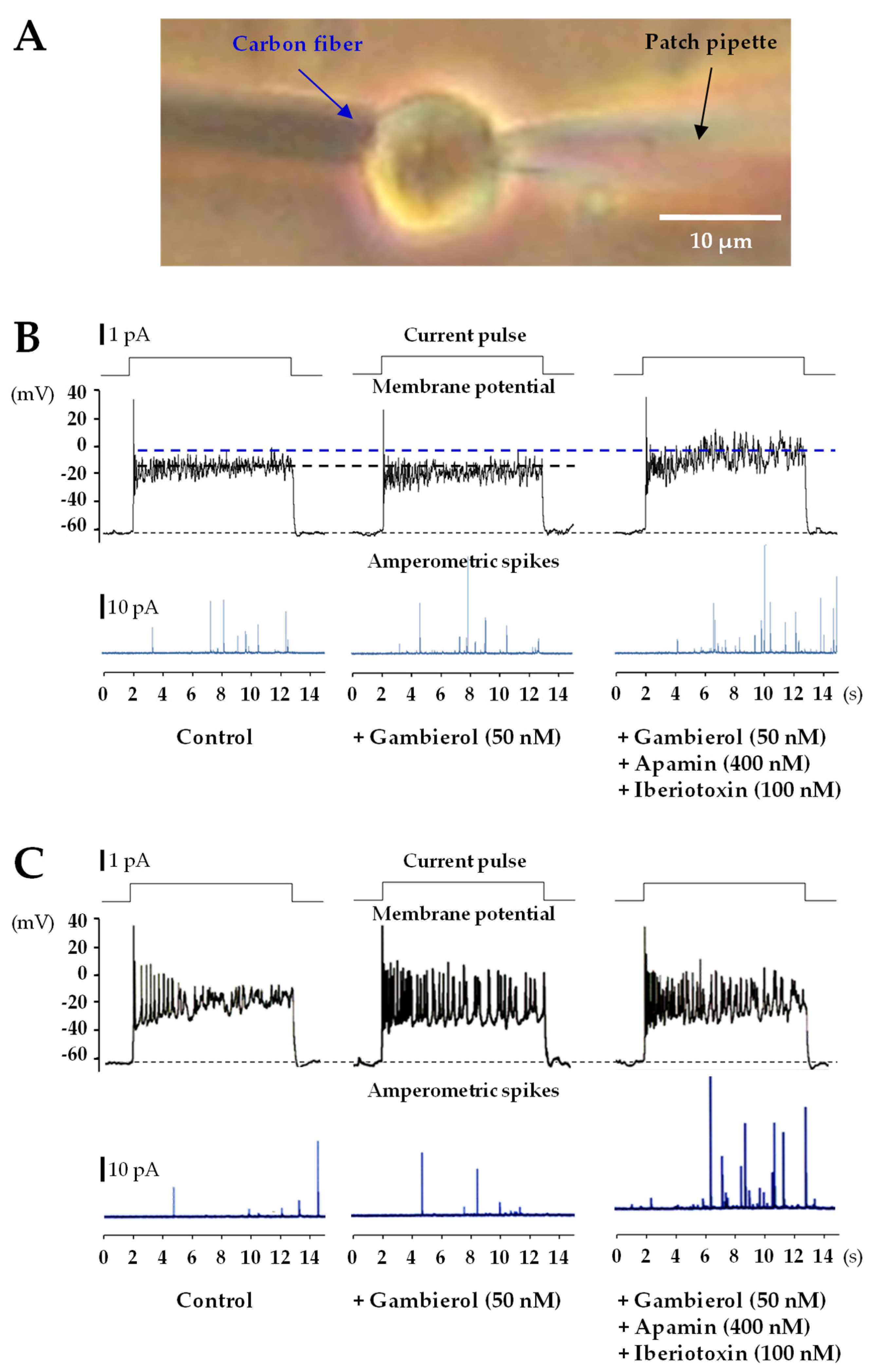 Toxins 14 00254 g005