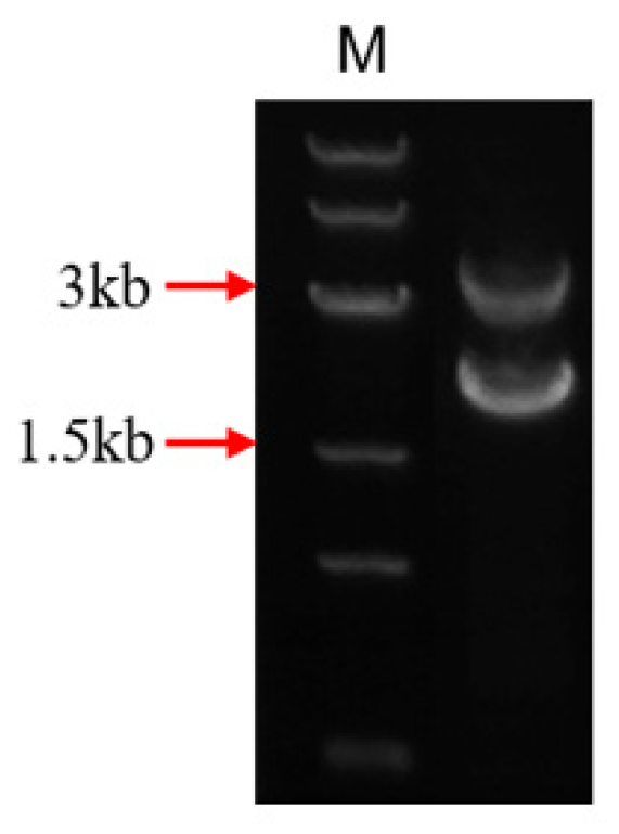 Toxins 14 00266 g002