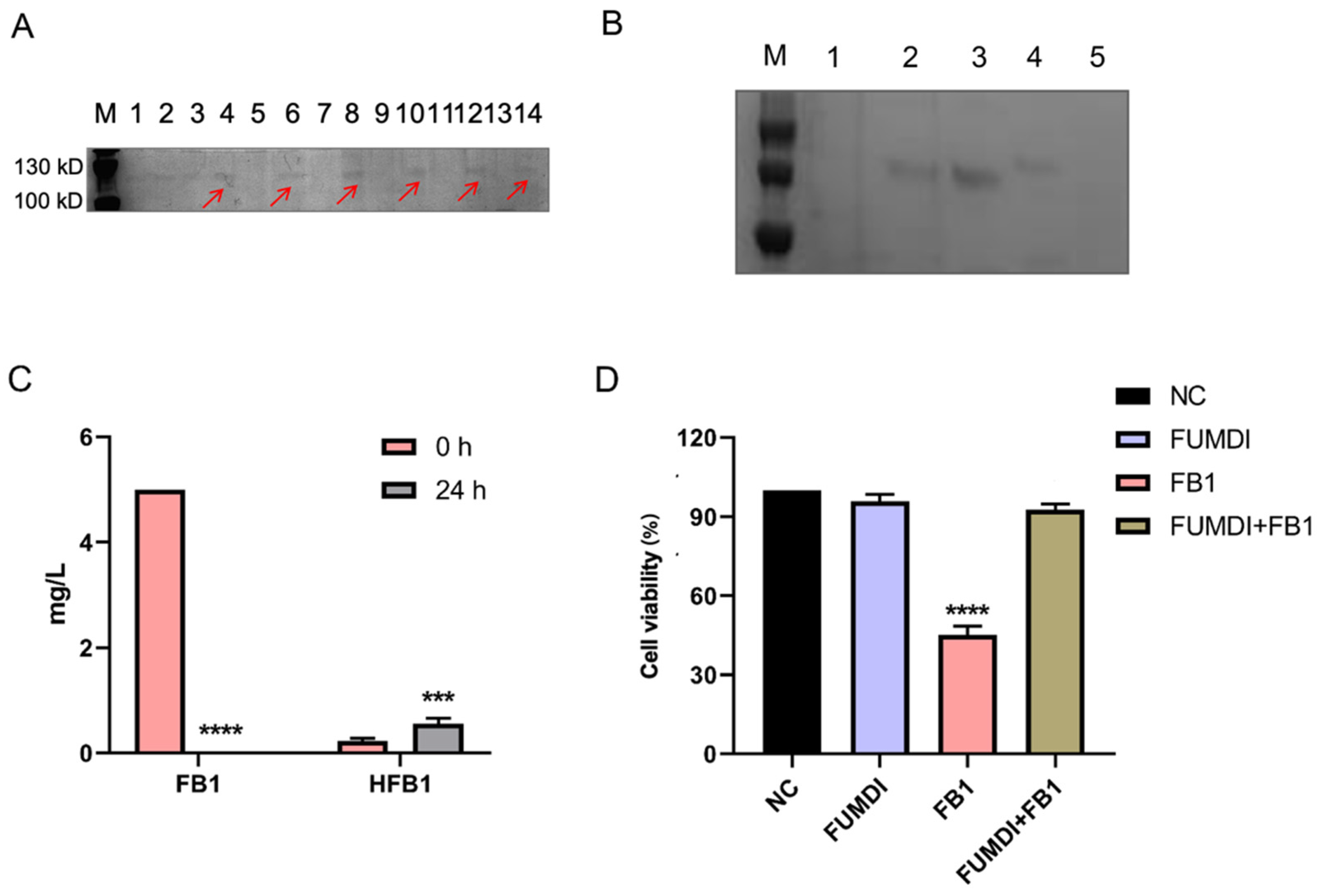 Toxins 14 00266 g003
