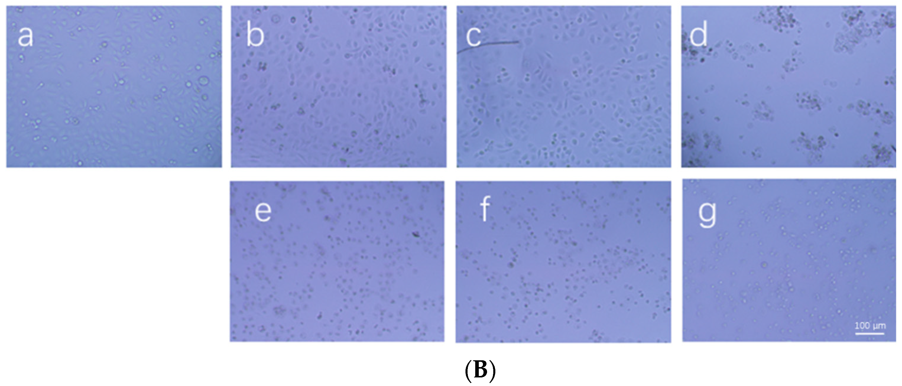 Toxins 14 00269 g001b