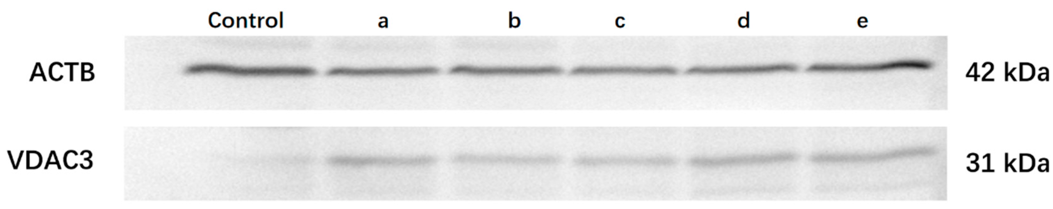 Toxins 14 00269 g004