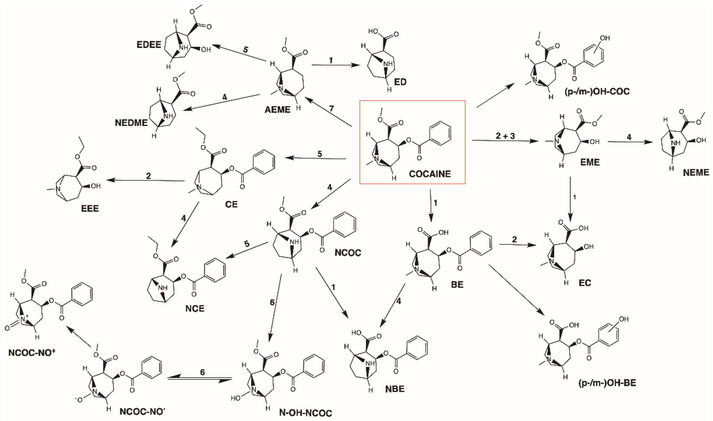 Toxins 14 00278 g002