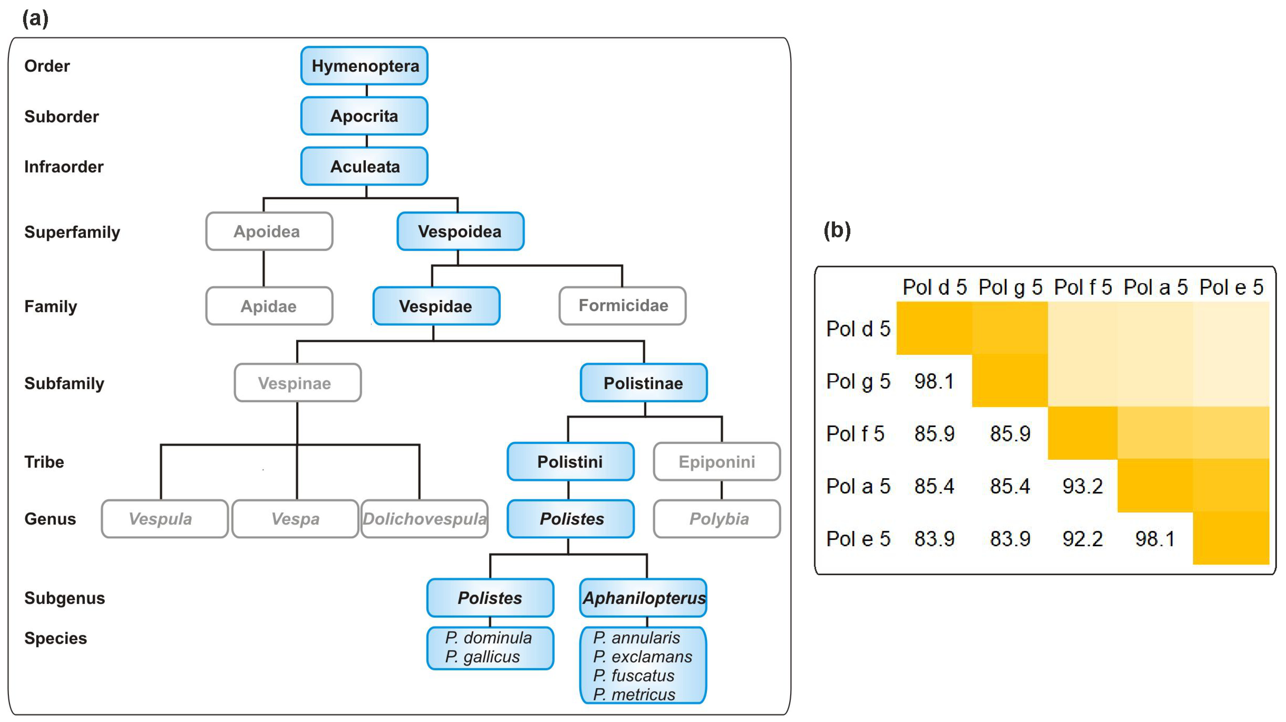 Toxins 14 00284 g001