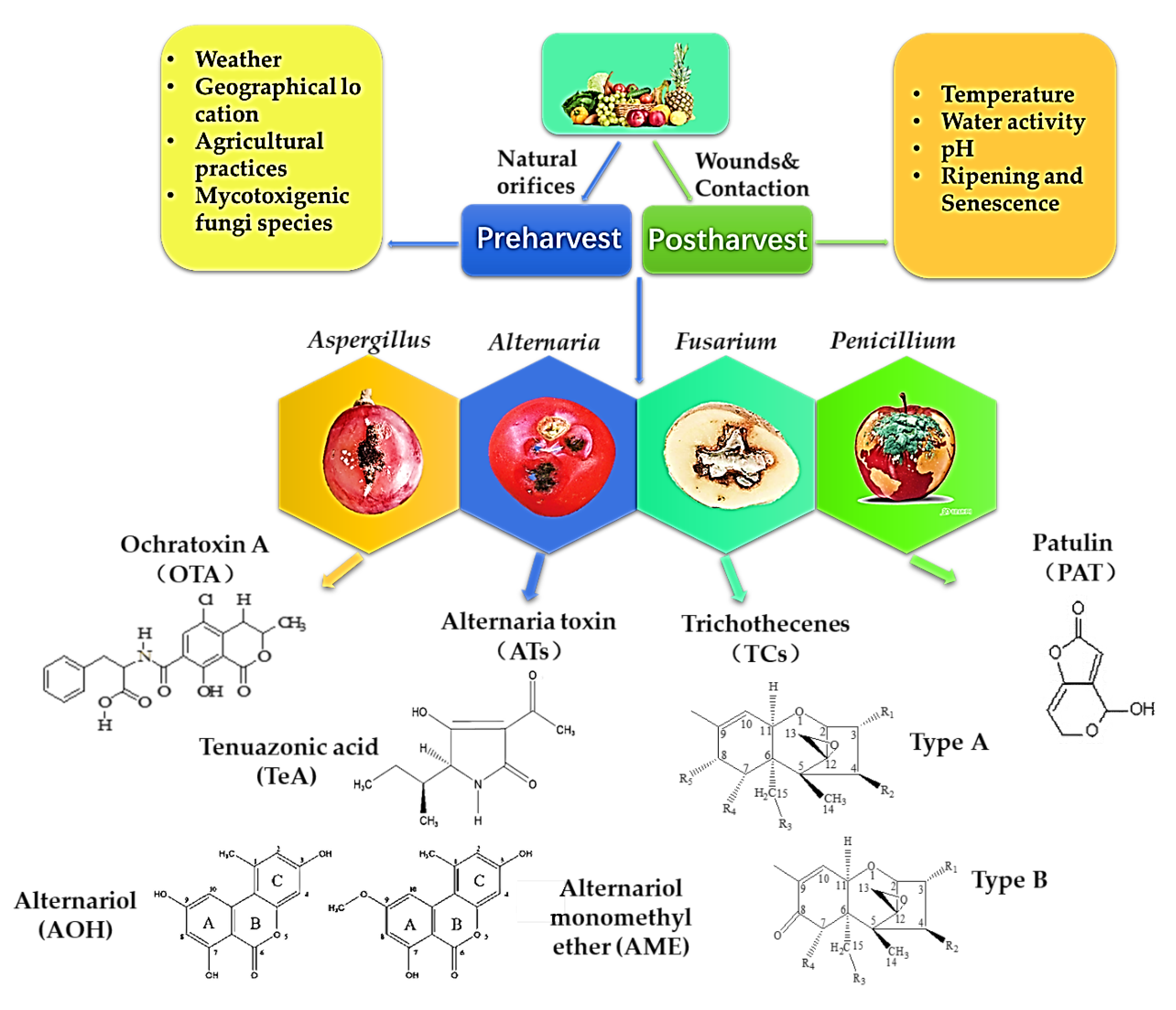 Toxins 14 00309 g001