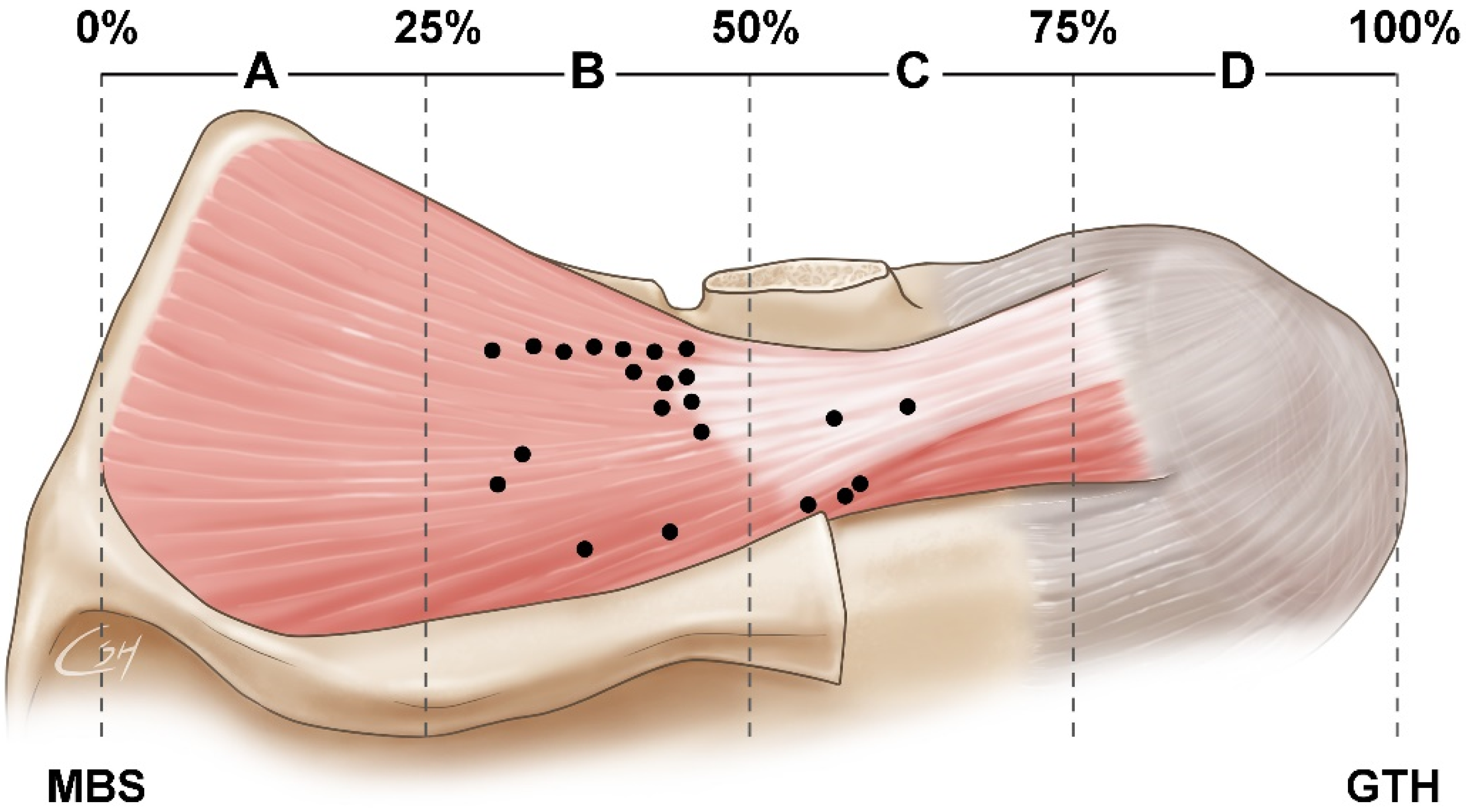 Toxins 14 00310 g001