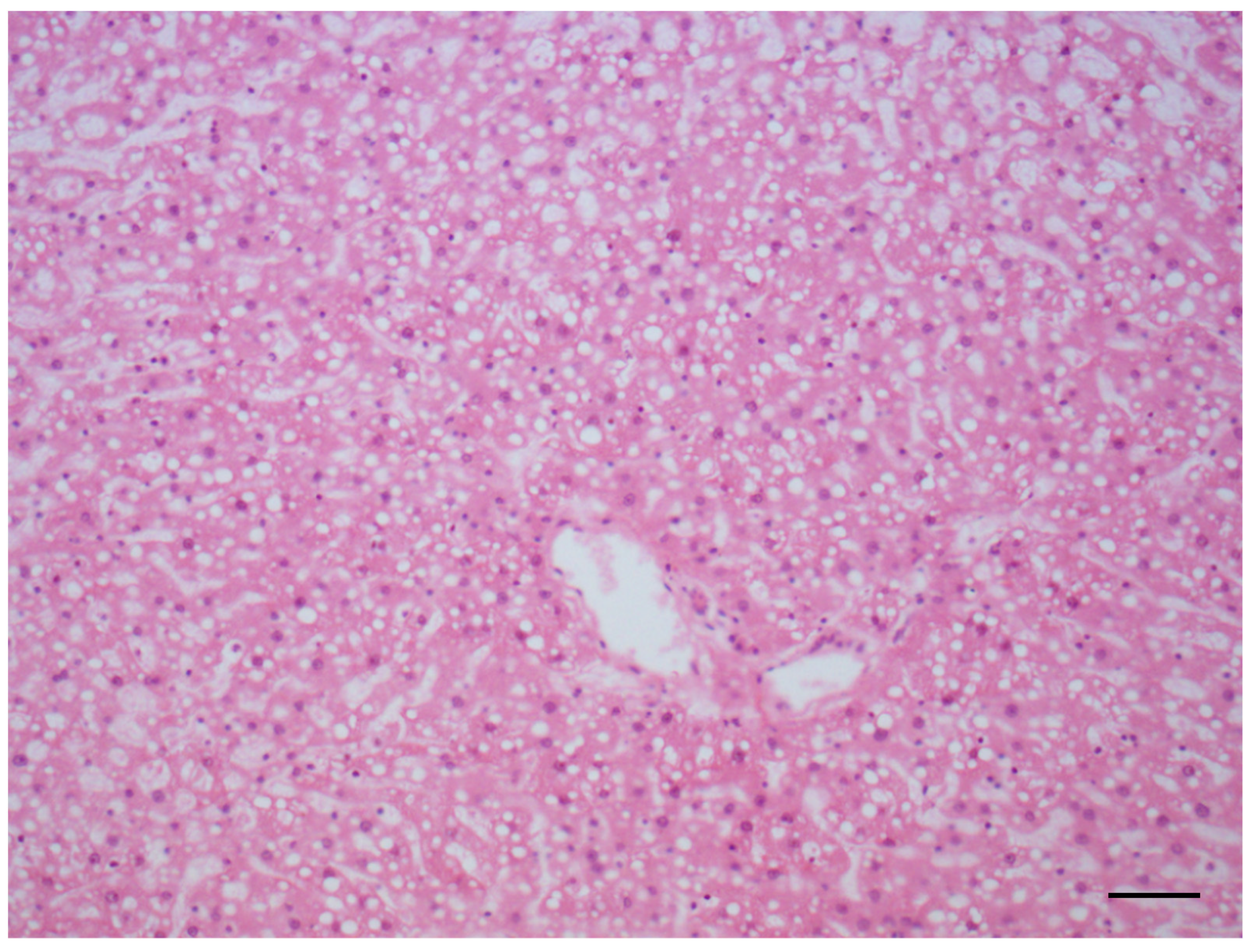 Toxins 14 00325 g003