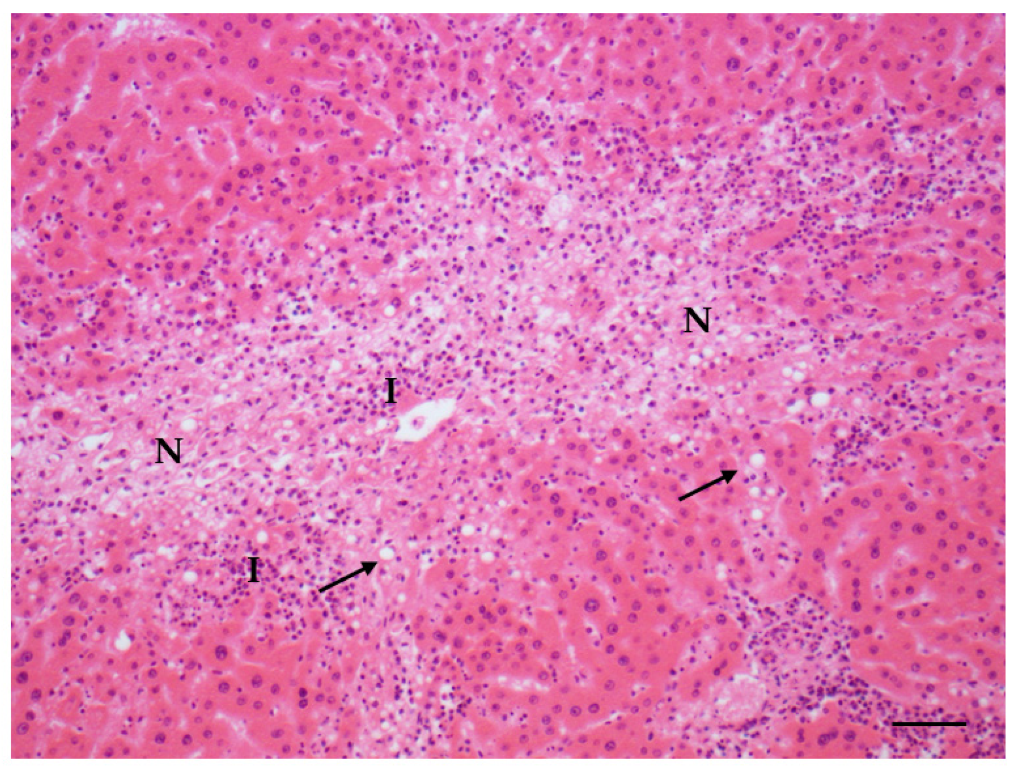 Toxins 14 00325 g004