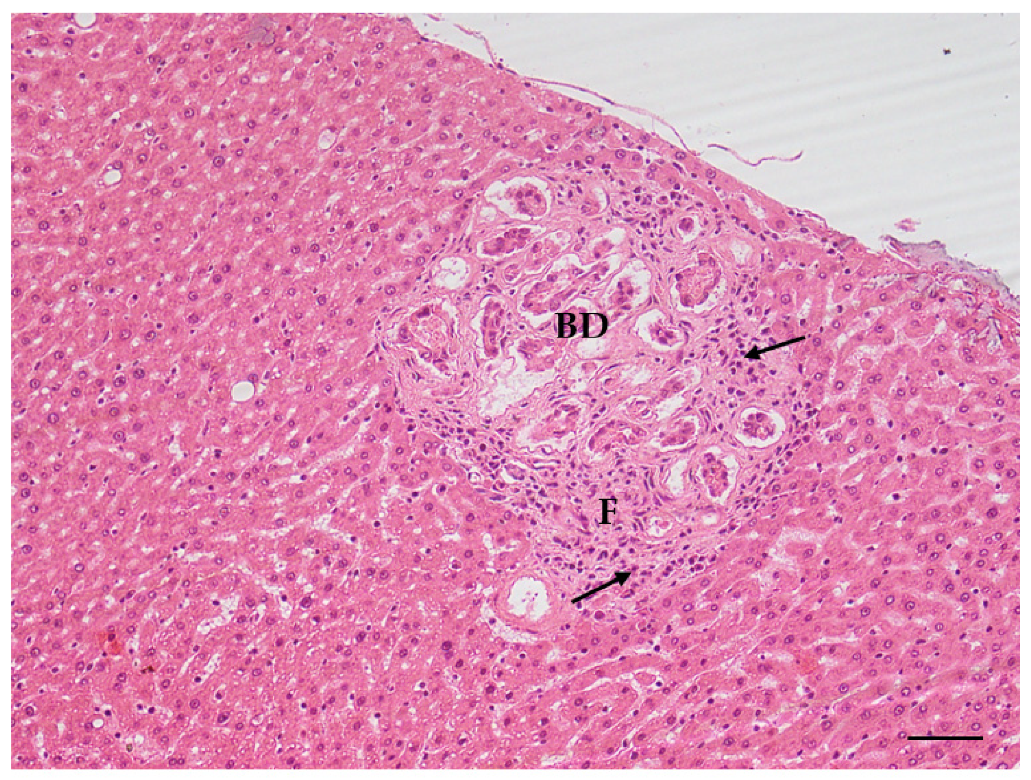 Toxins 14 00325 g005
