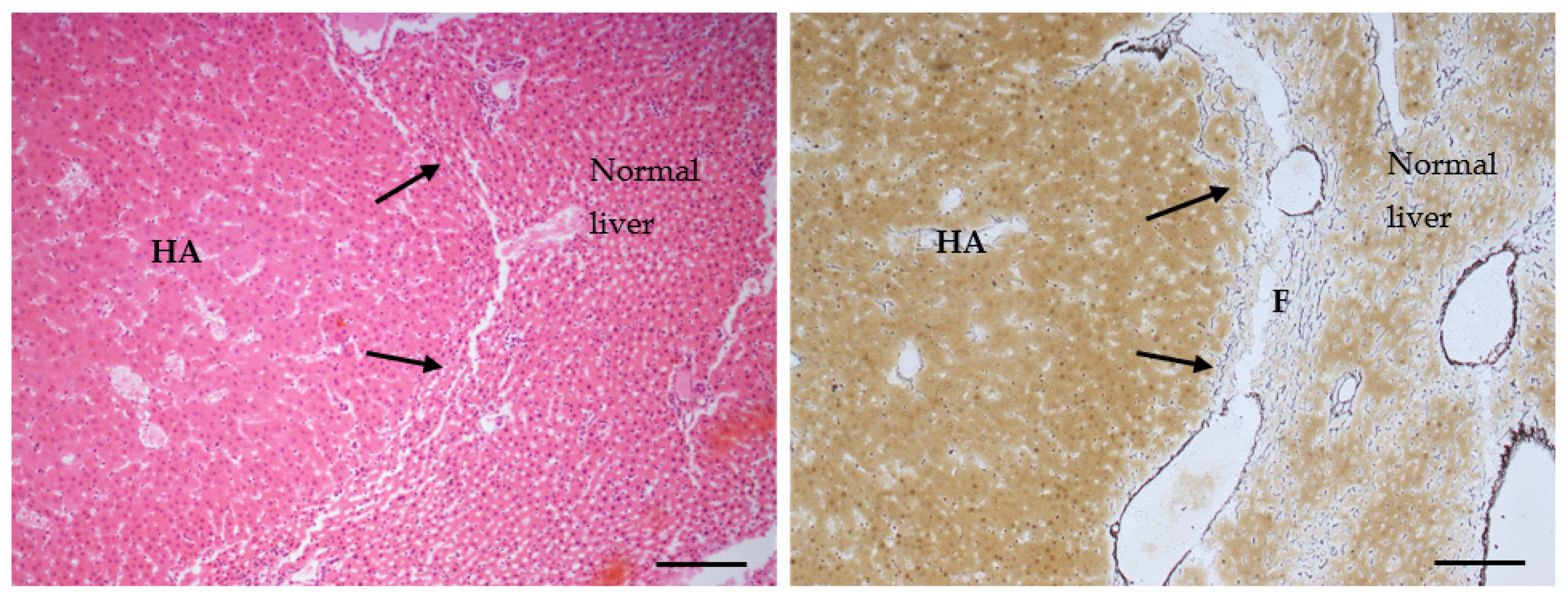 Toxins 14 00325 g007