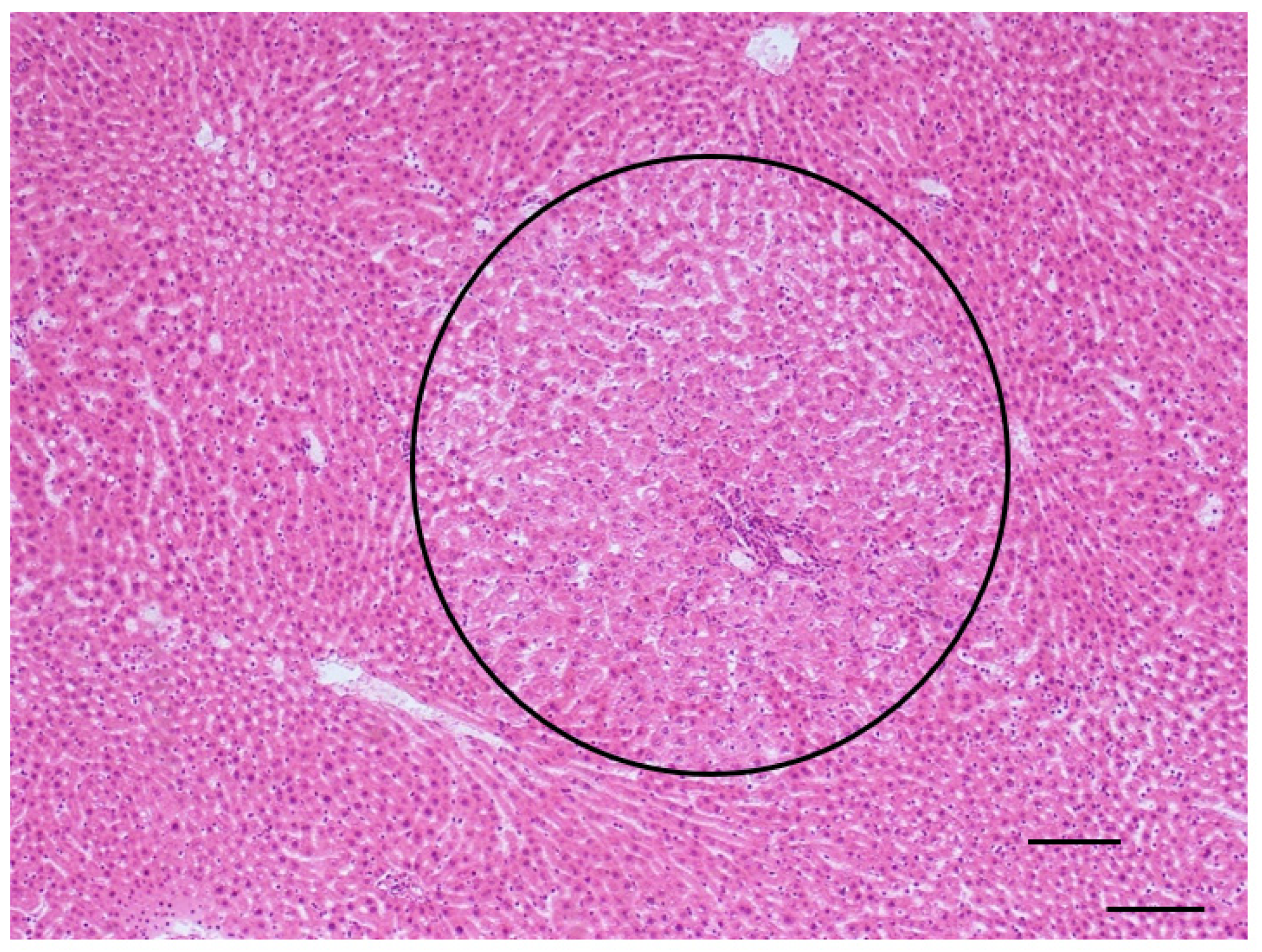Toxins 14 00325 g008